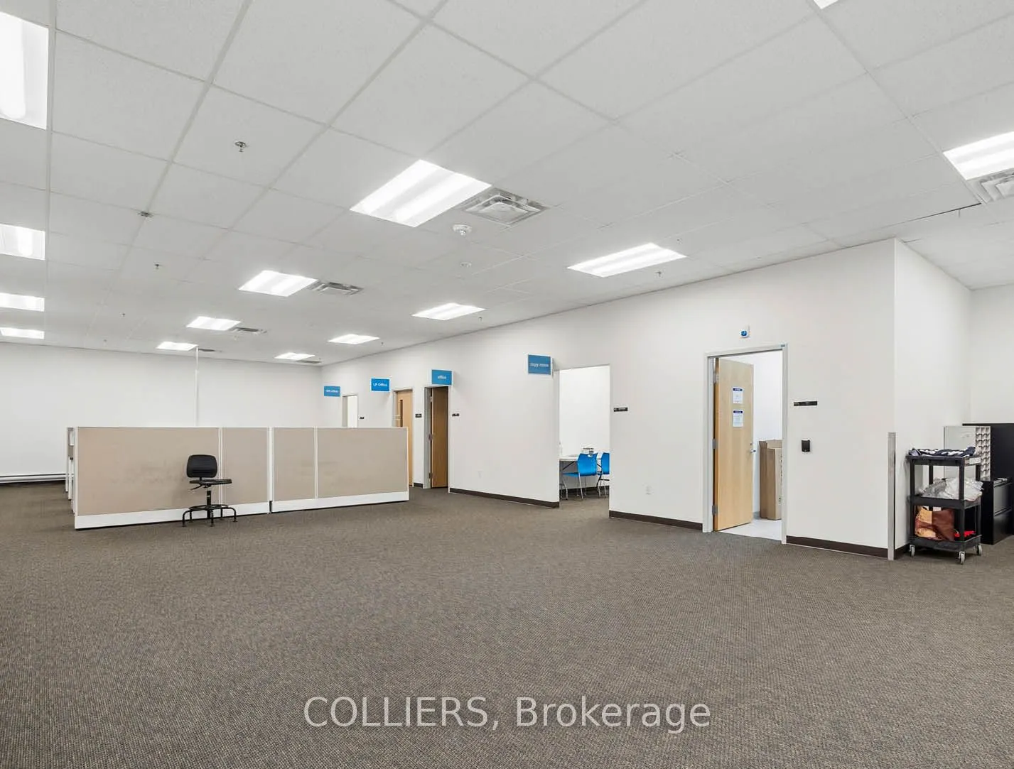 13153 Coleraine Drive