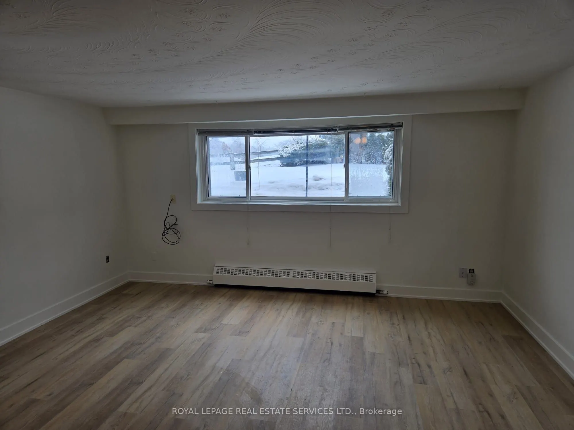 52 Peter Street #1