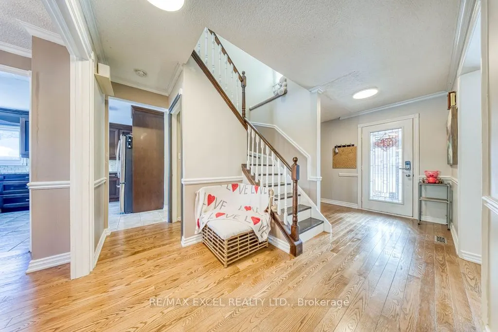 3031 Kilbride Court