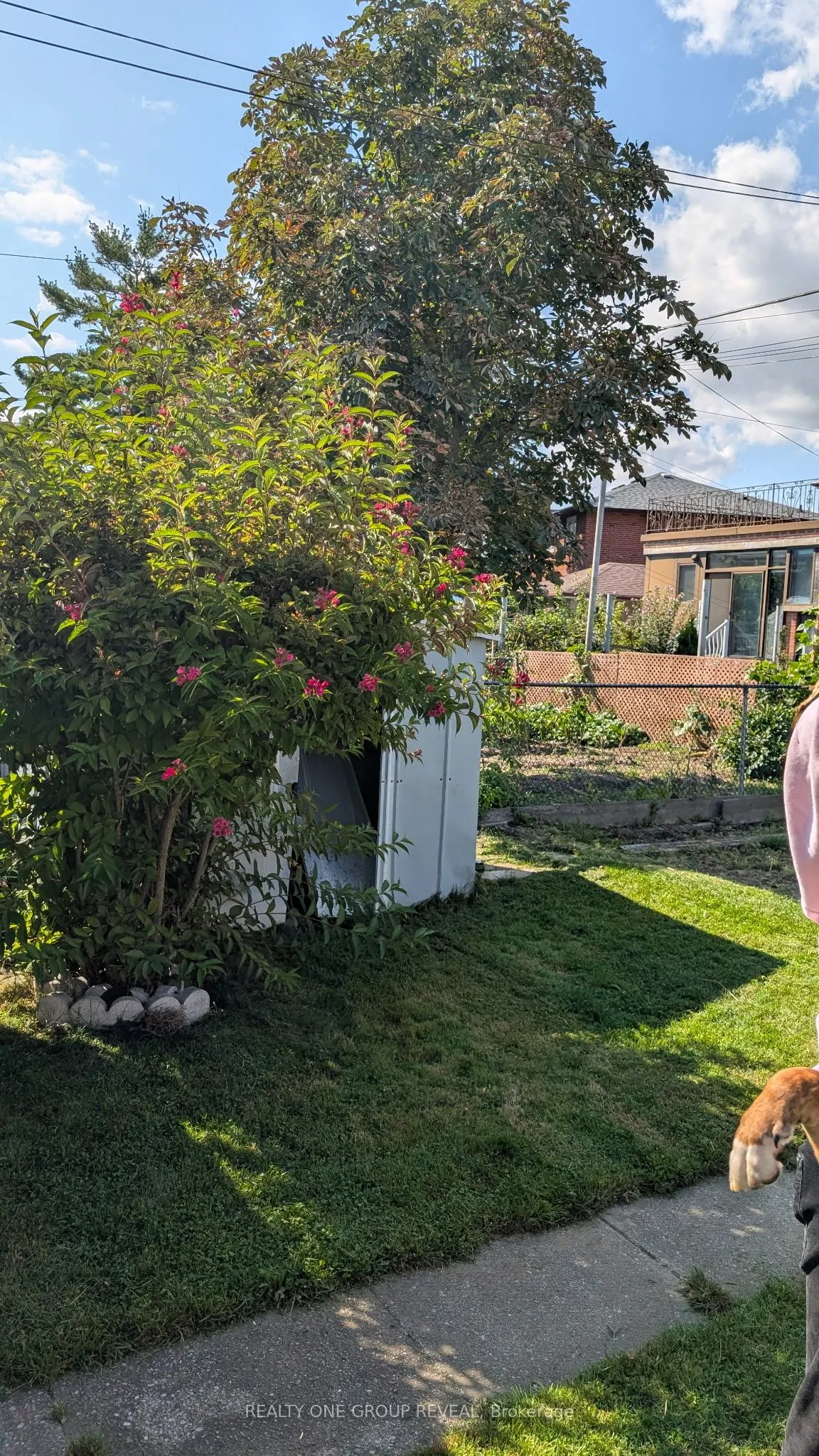 12 Thurodale Avenue
