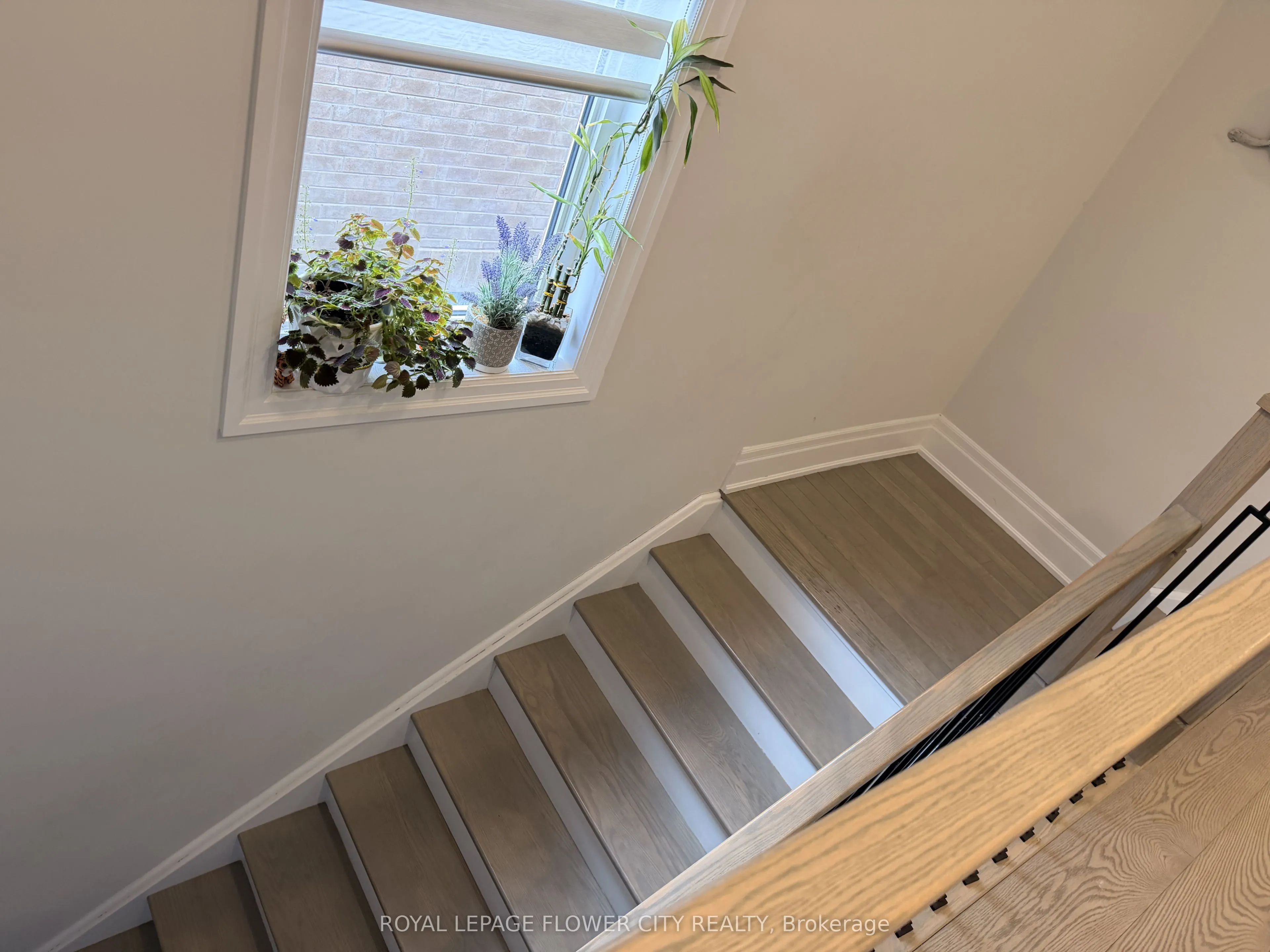 7 Overstone Road