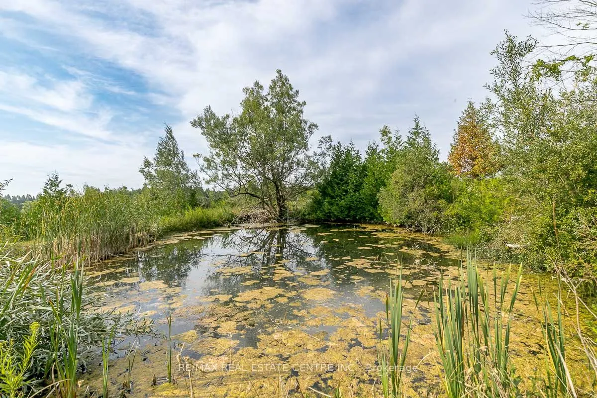 0 Shaws Creek Road