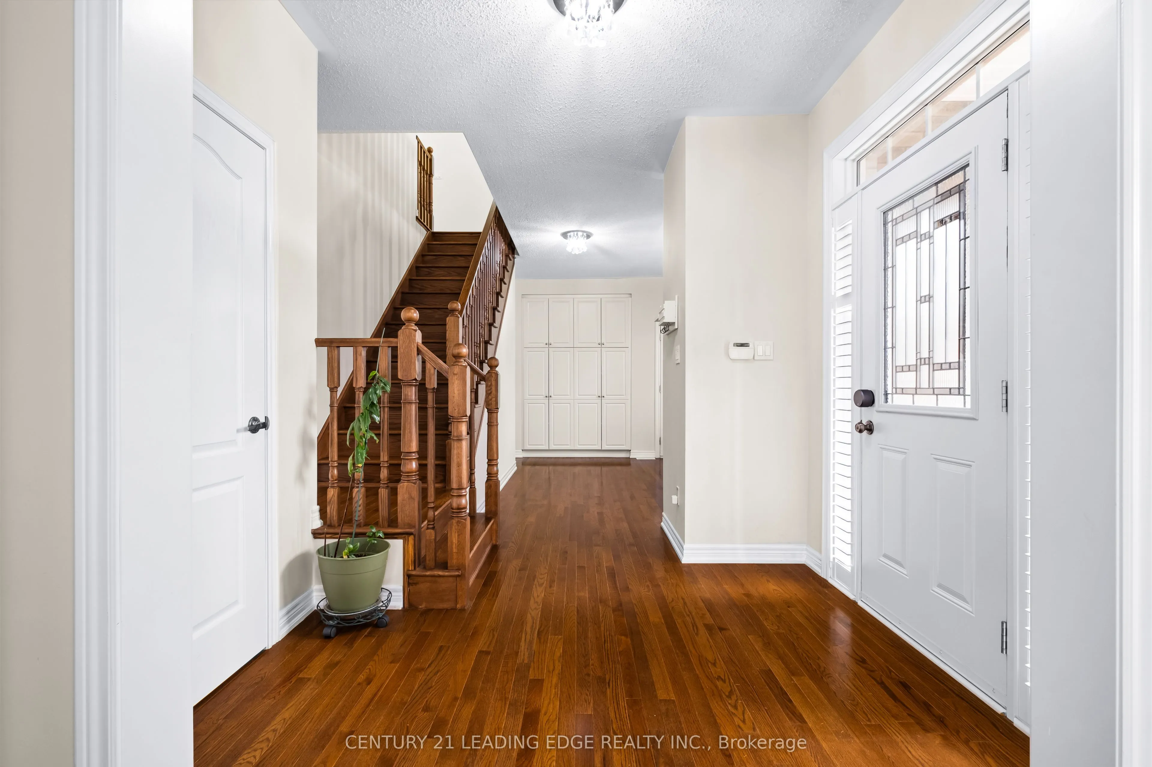 35 Lobelia Street #4