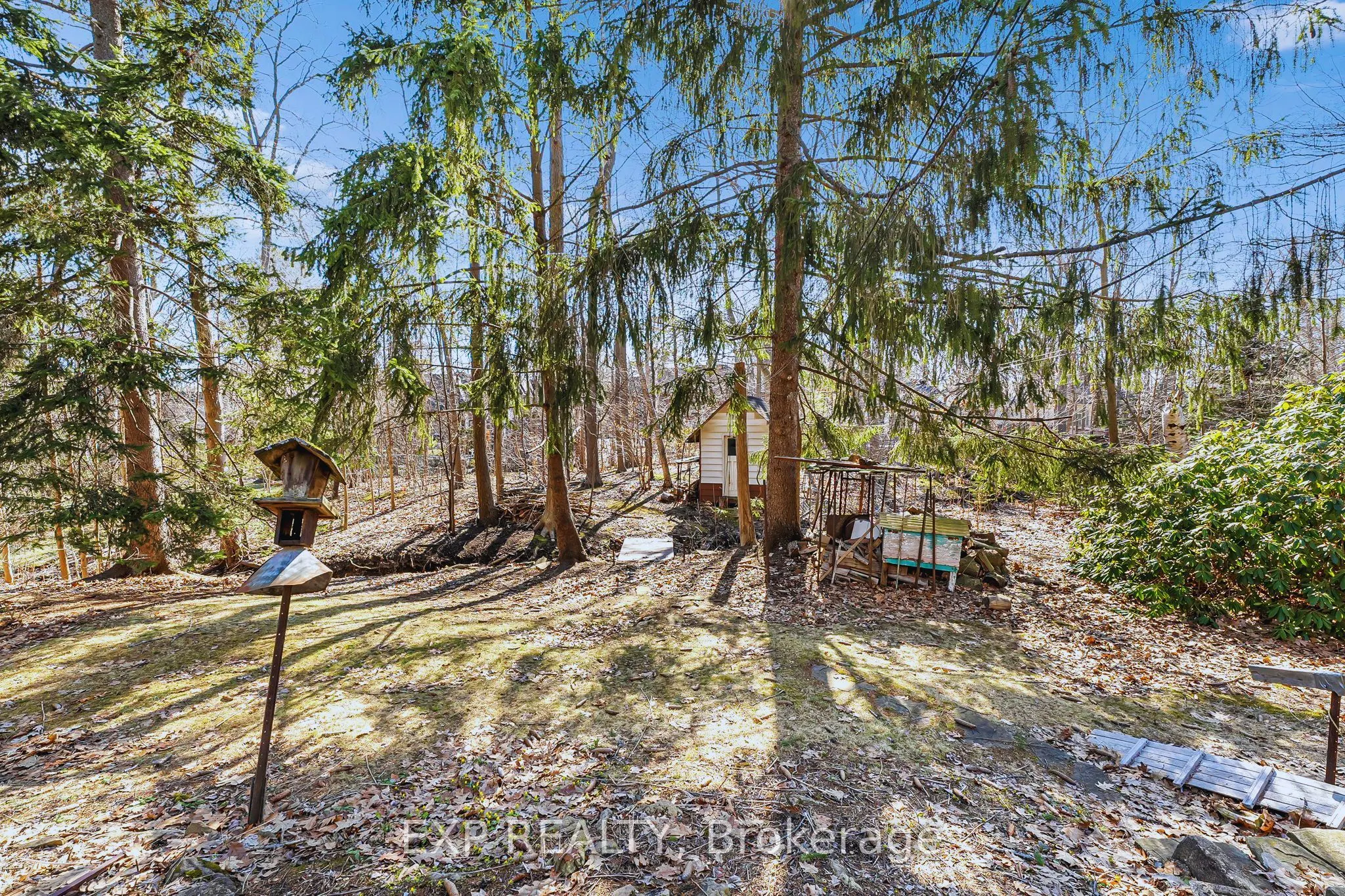 1252 Mona Road