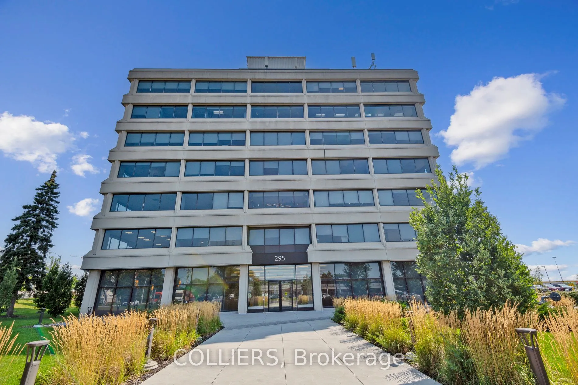 295 The West Mall #204