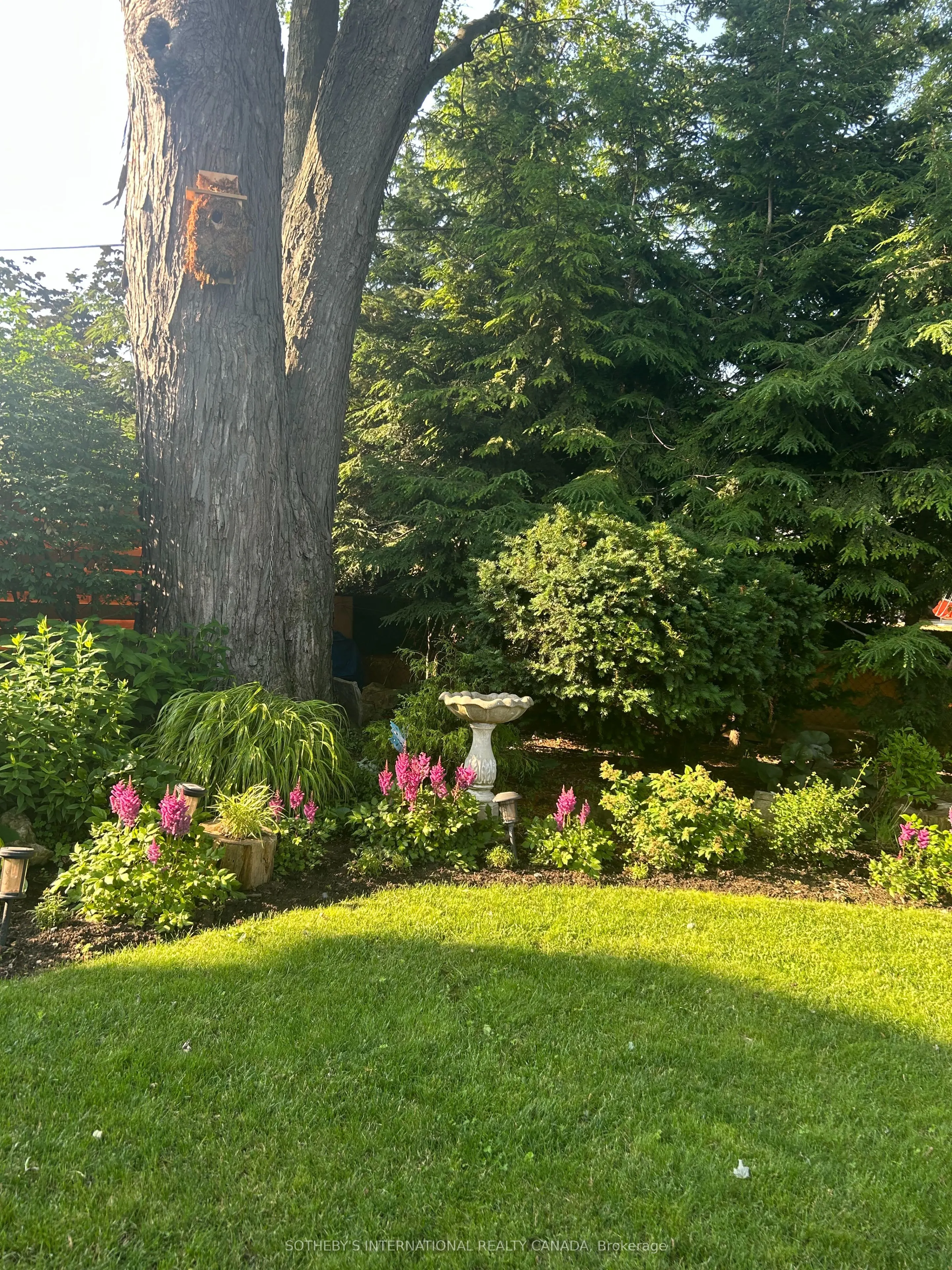 31 Maple Avenue N