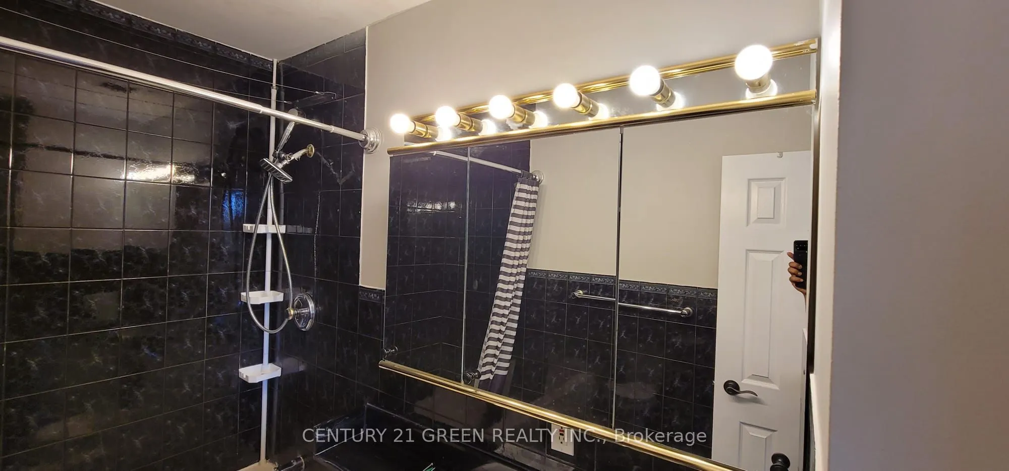 3065 Queen Frederica Drive #902