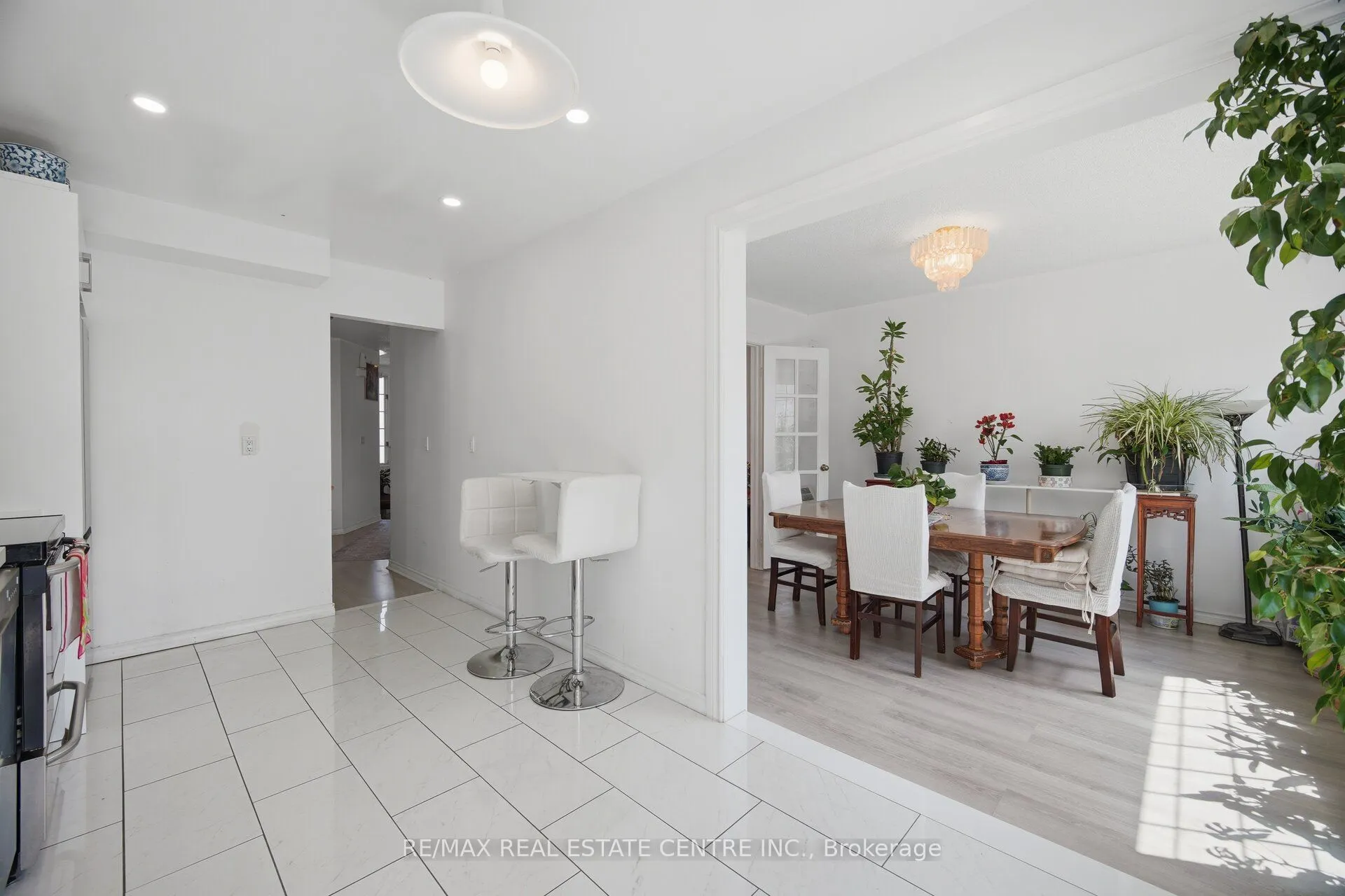 3 Hartnell Square #2