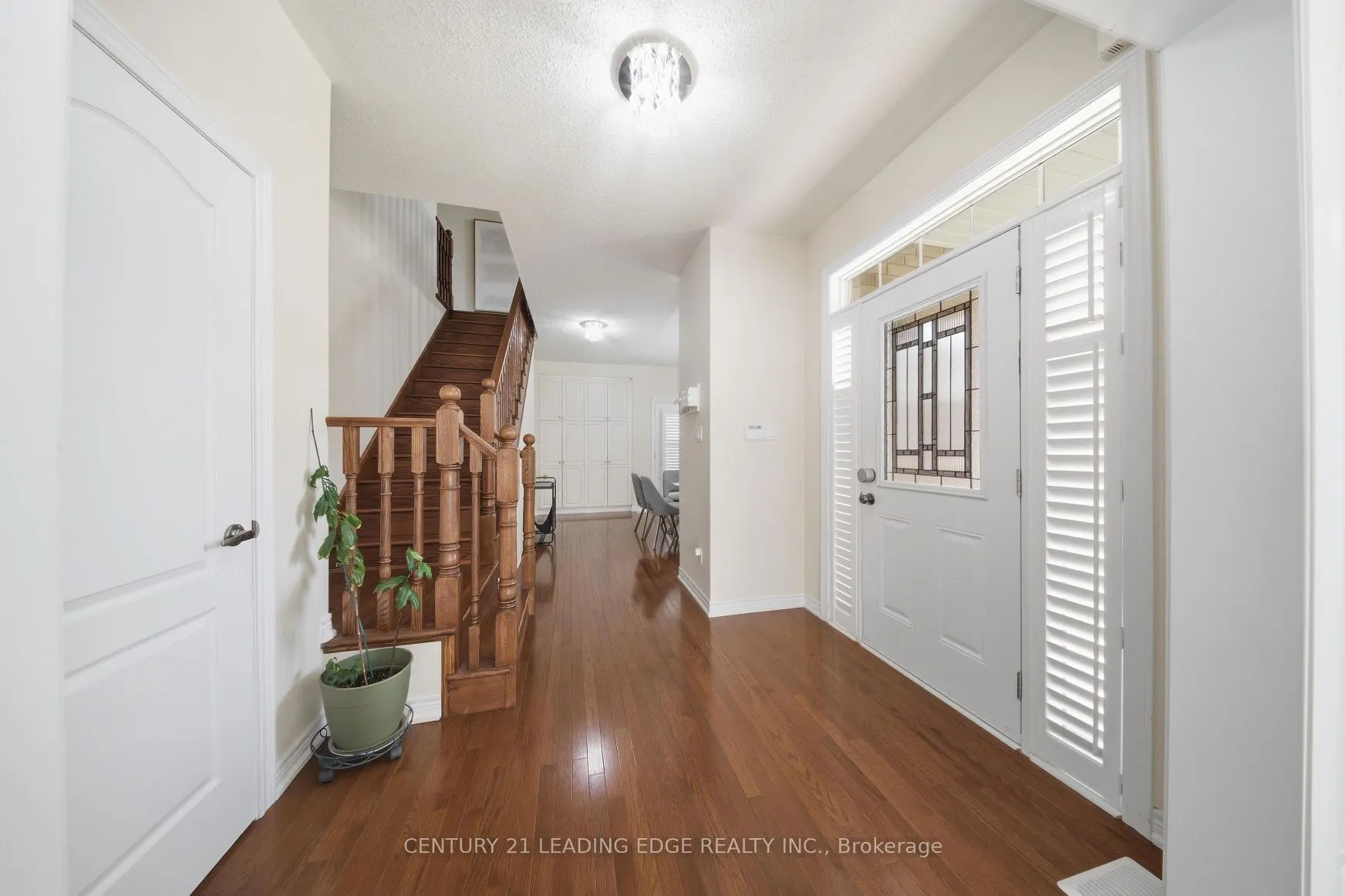 35 Lobelia Street #4