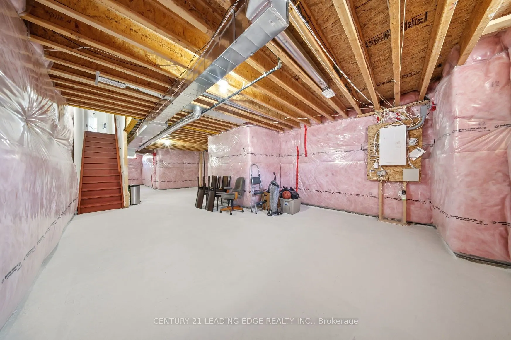35 Lobelia Street #4