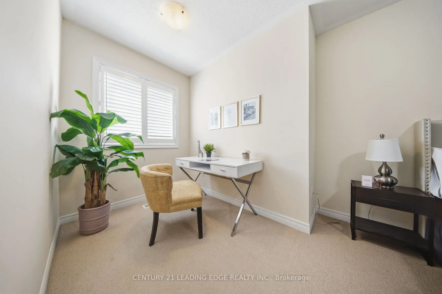 35 Lobelia Street #4