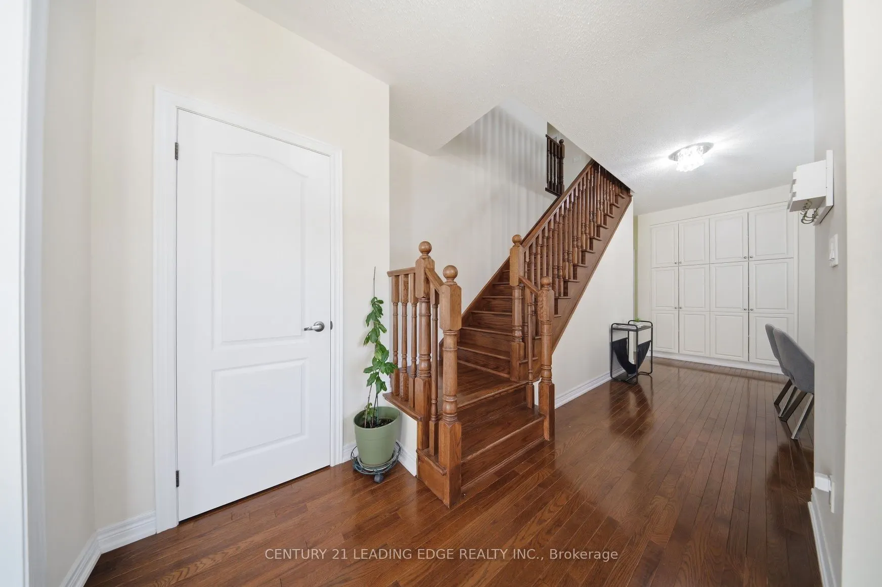 35 Lobelia Street #4