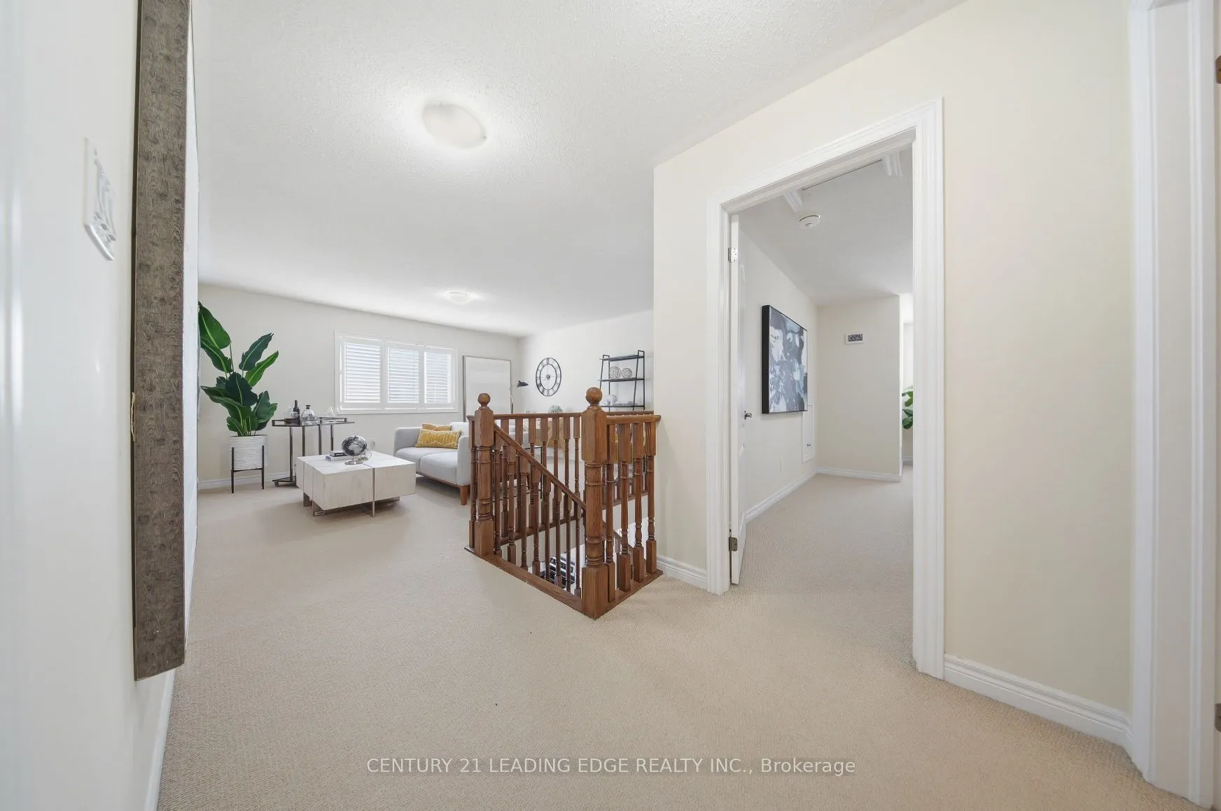 35 Lobelia Street #4