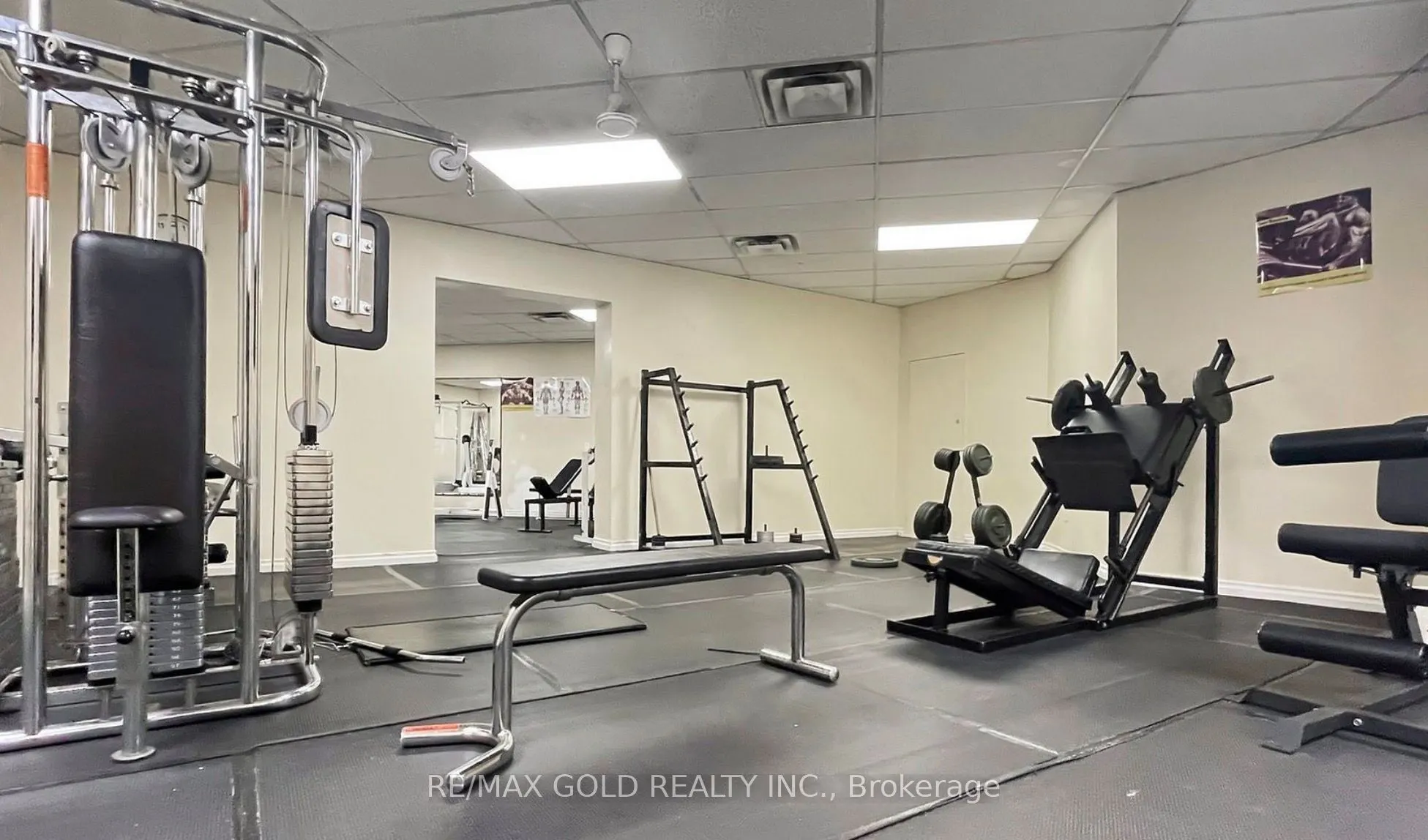 390 Dixon Road #1611