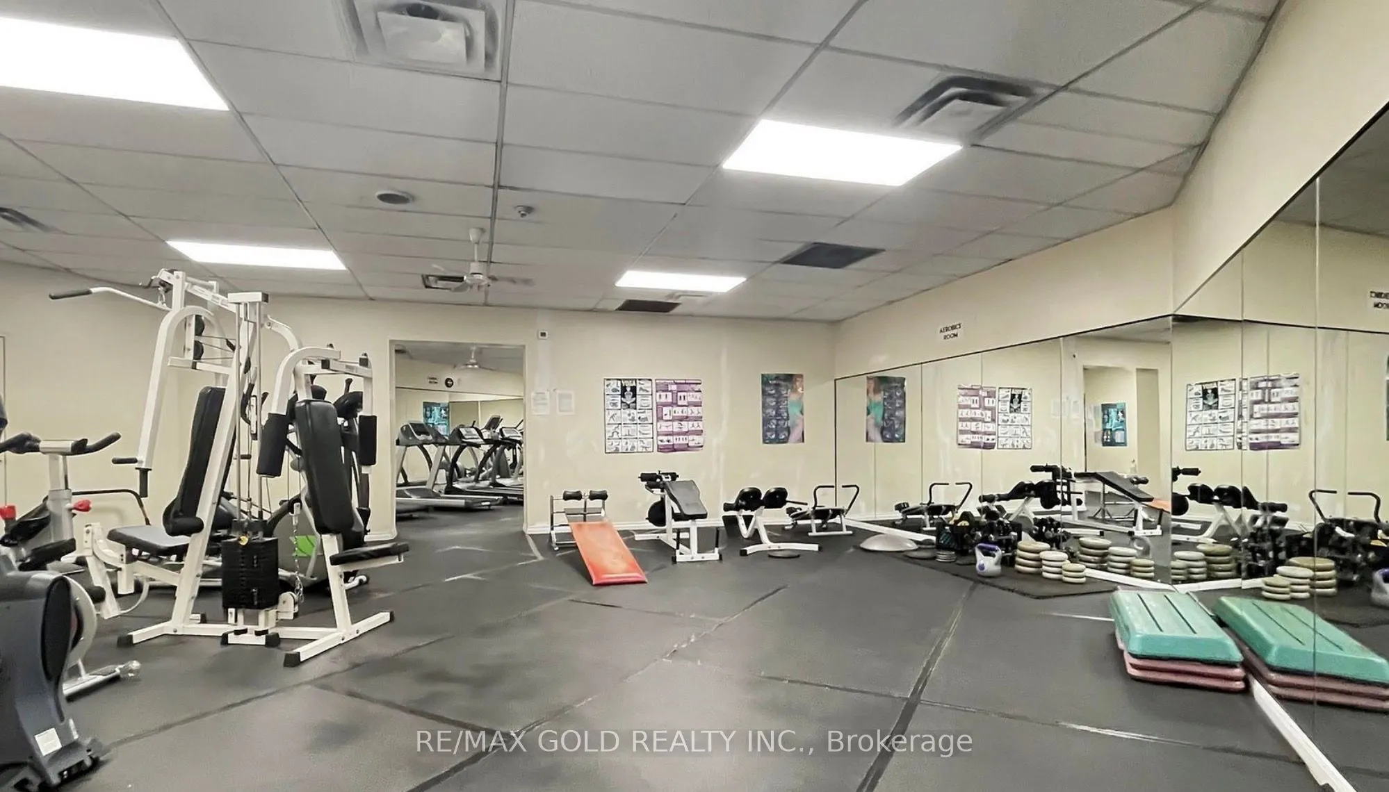 390 Dixon Road #1611