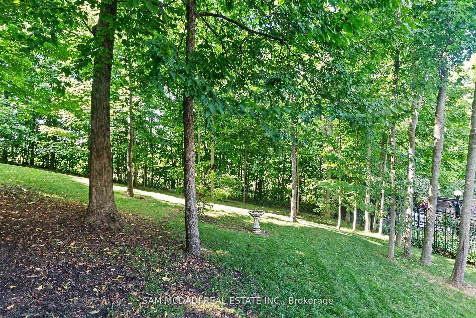 10140 Pineview Trail