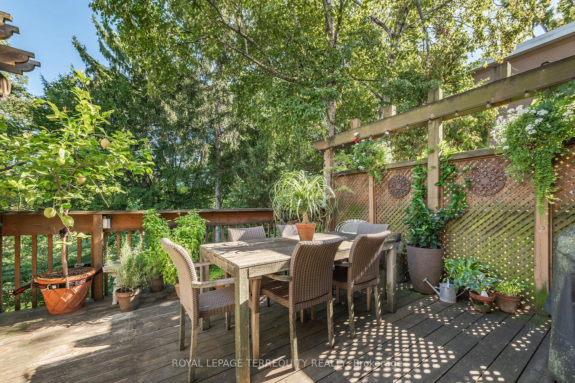 223 Riverside Drive