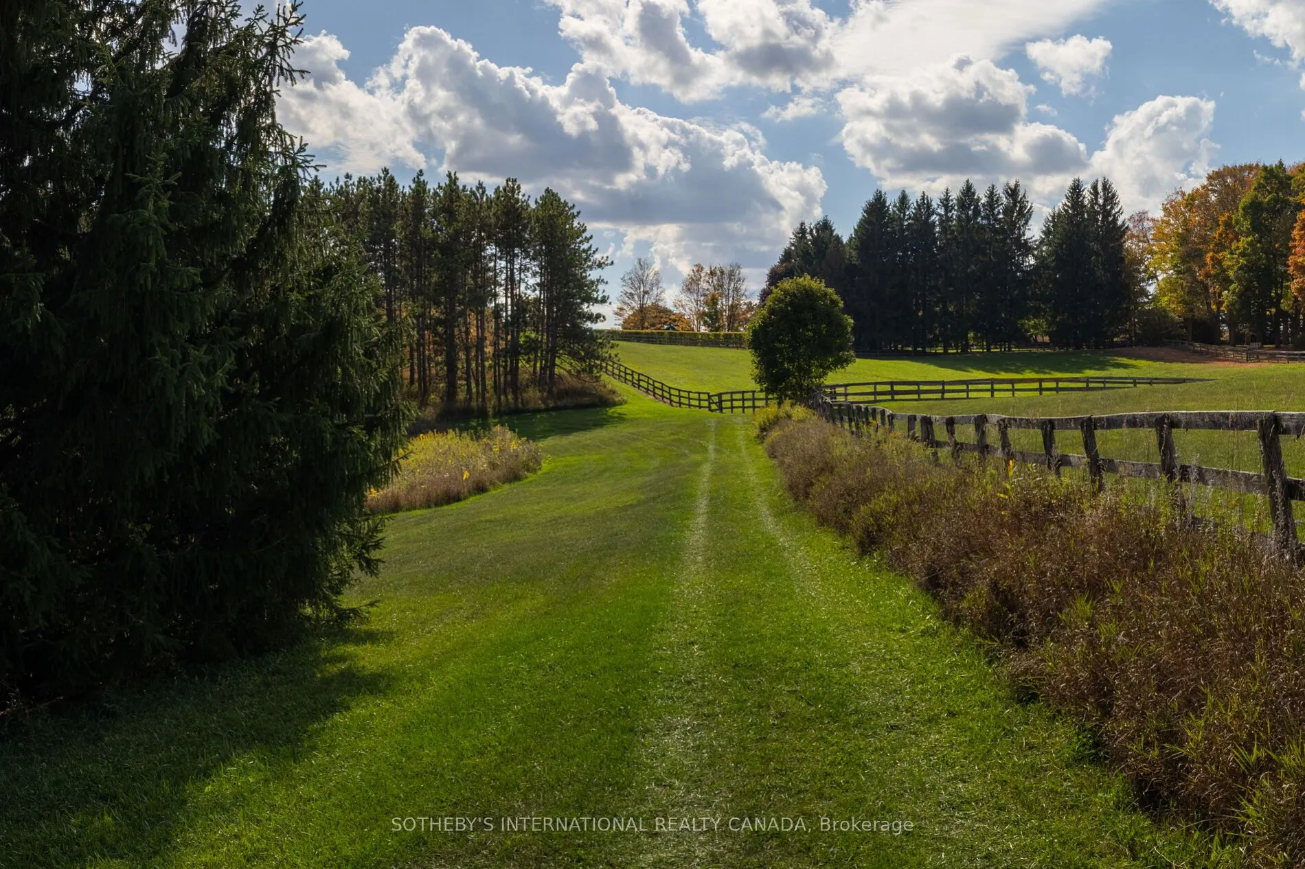 18101 Shaws Creek Road