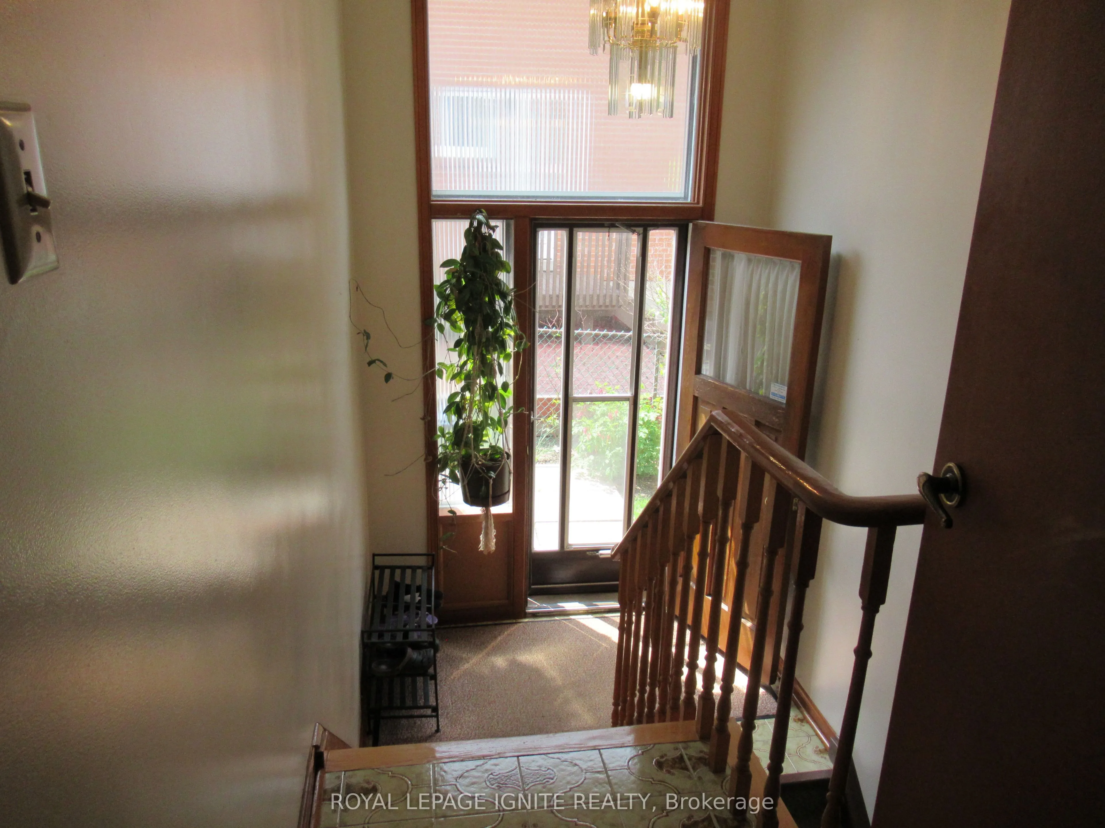 8 Newlove Court