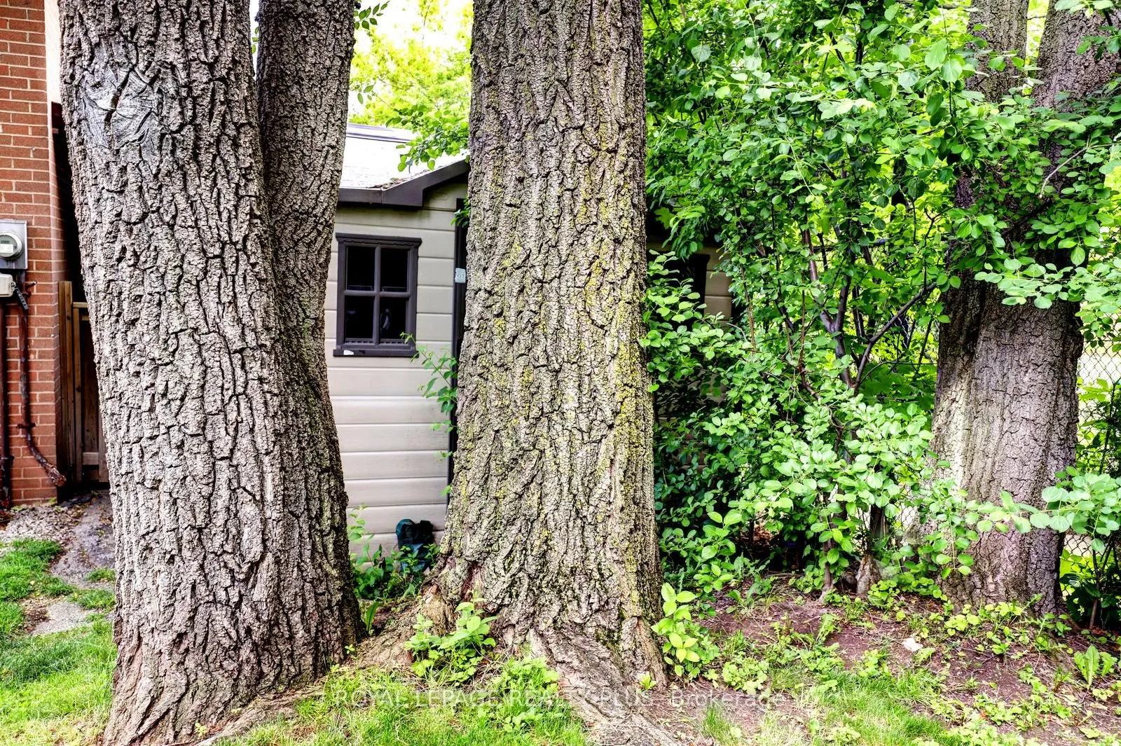 2694 Truscott Drive