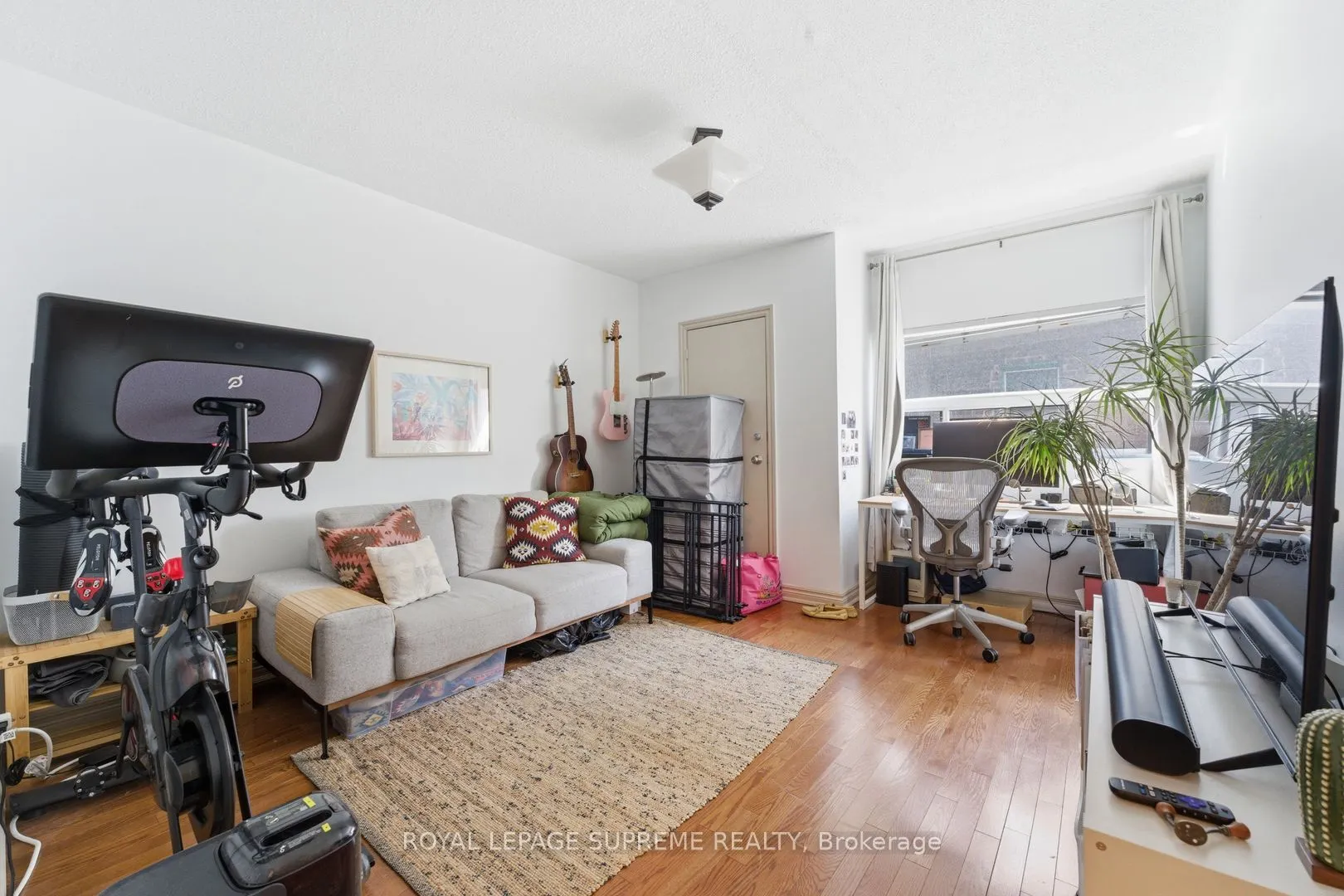 20 Maynard Avenue