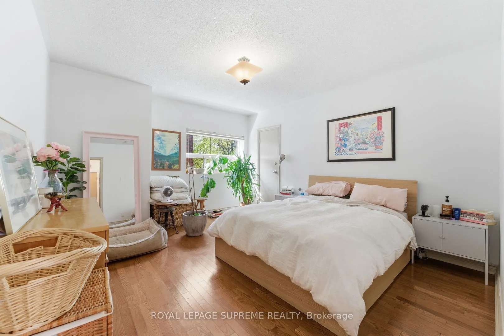 20 Maynard Avenue