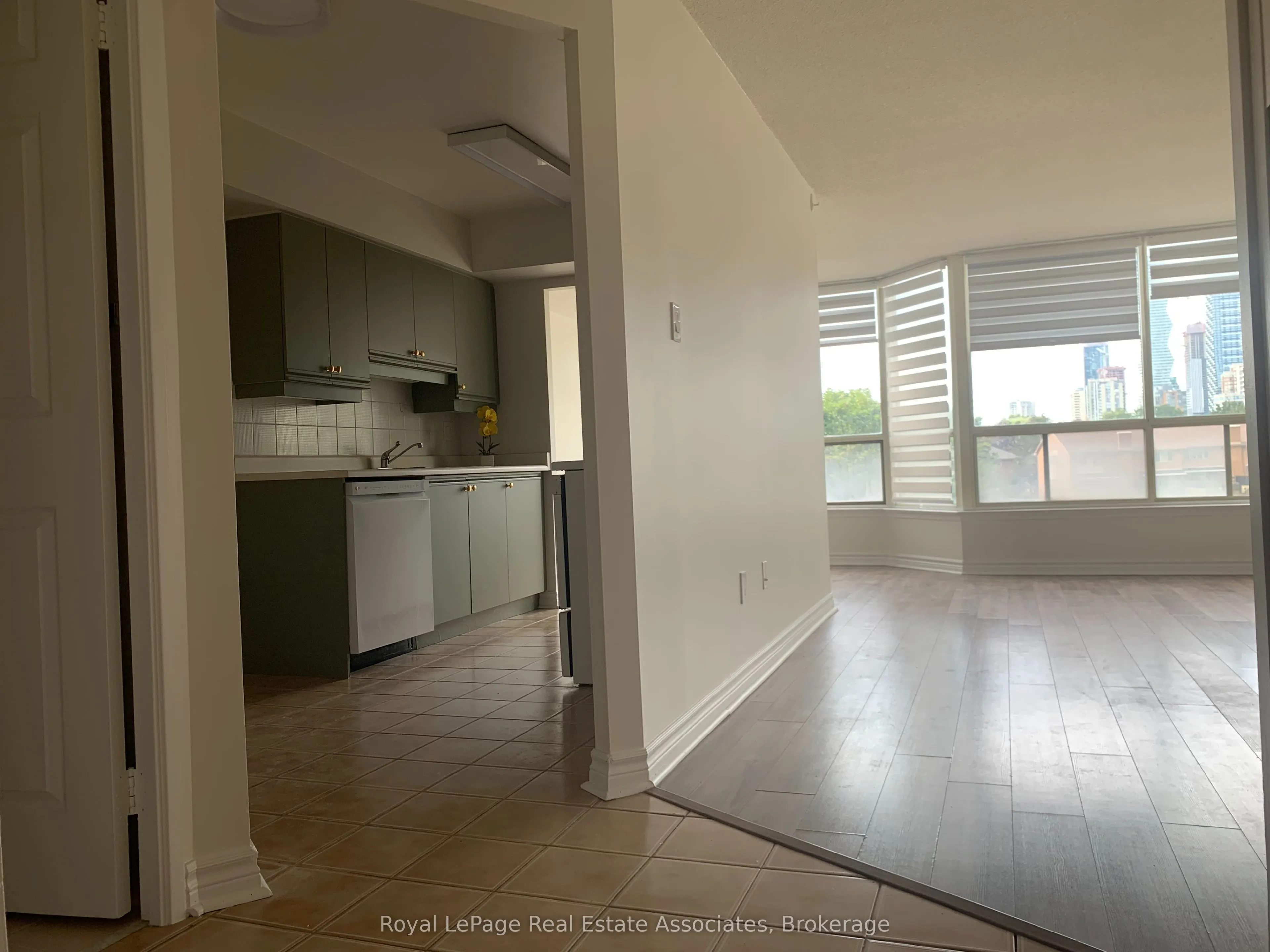55 Elm Drive W #501