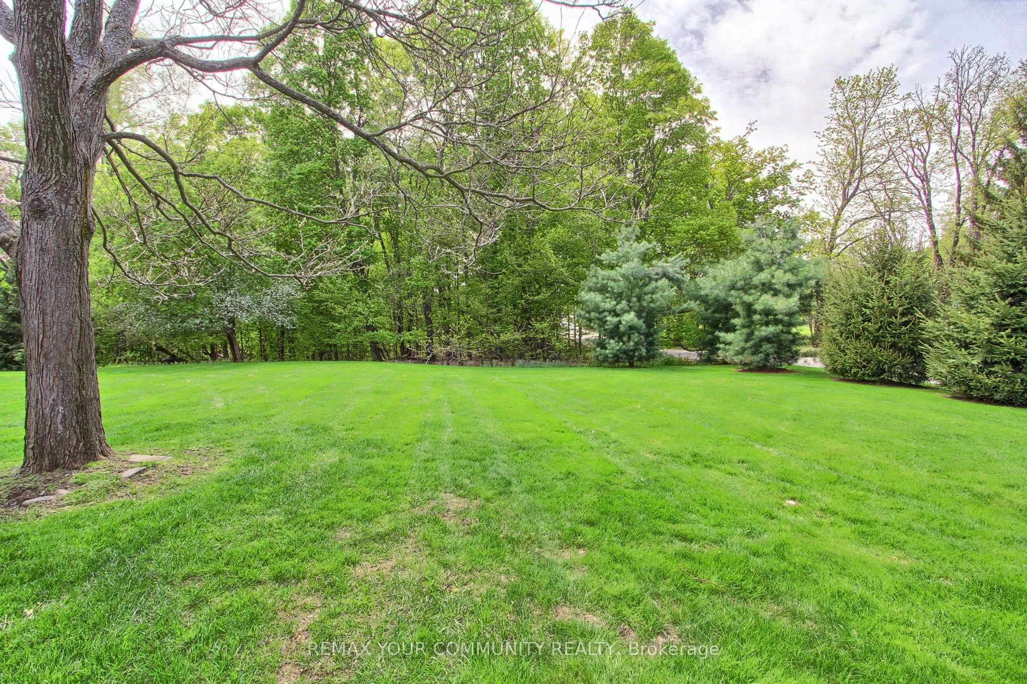 23 Reddington Drive #5