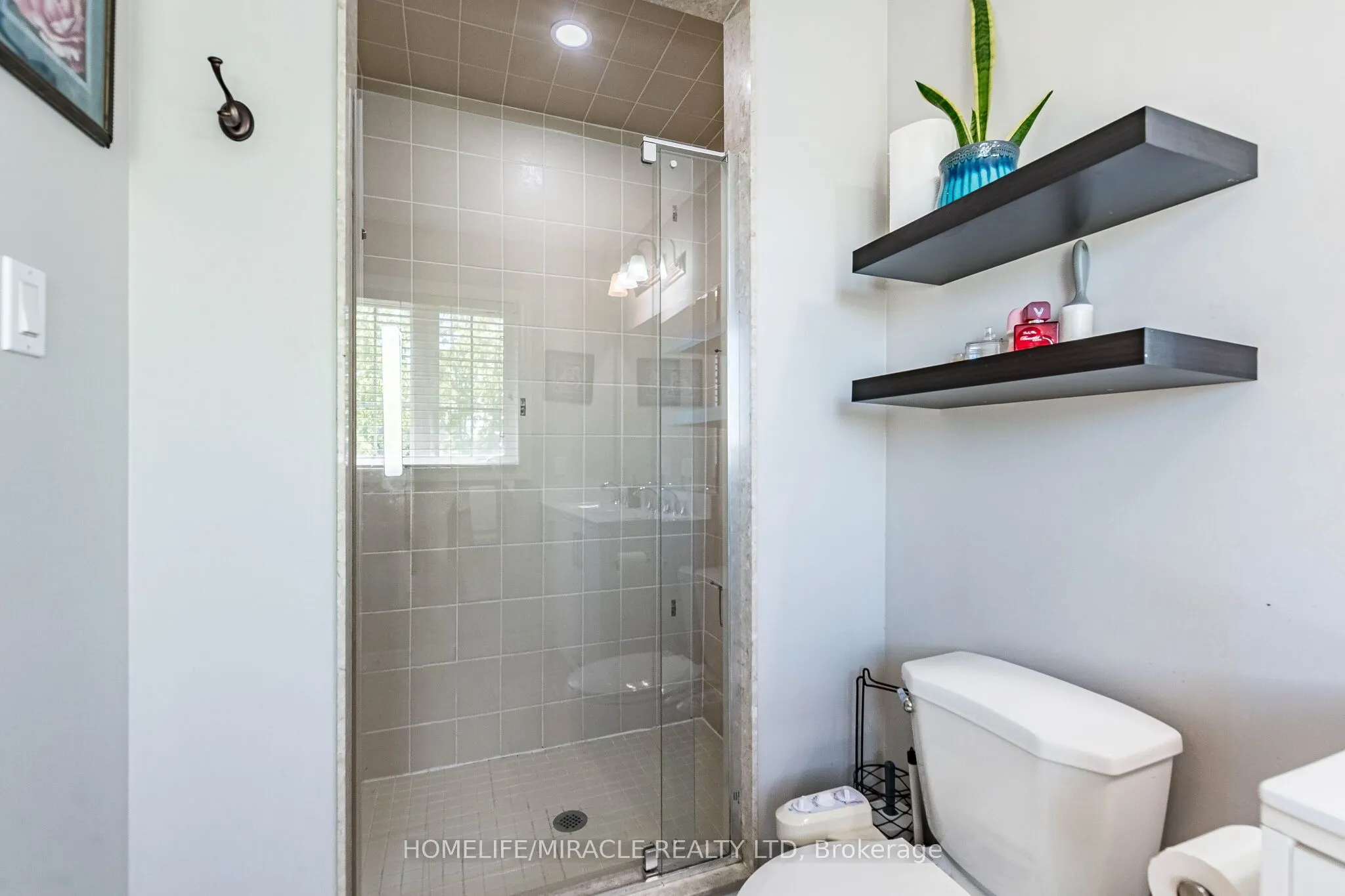 244 ANDREWS Trail