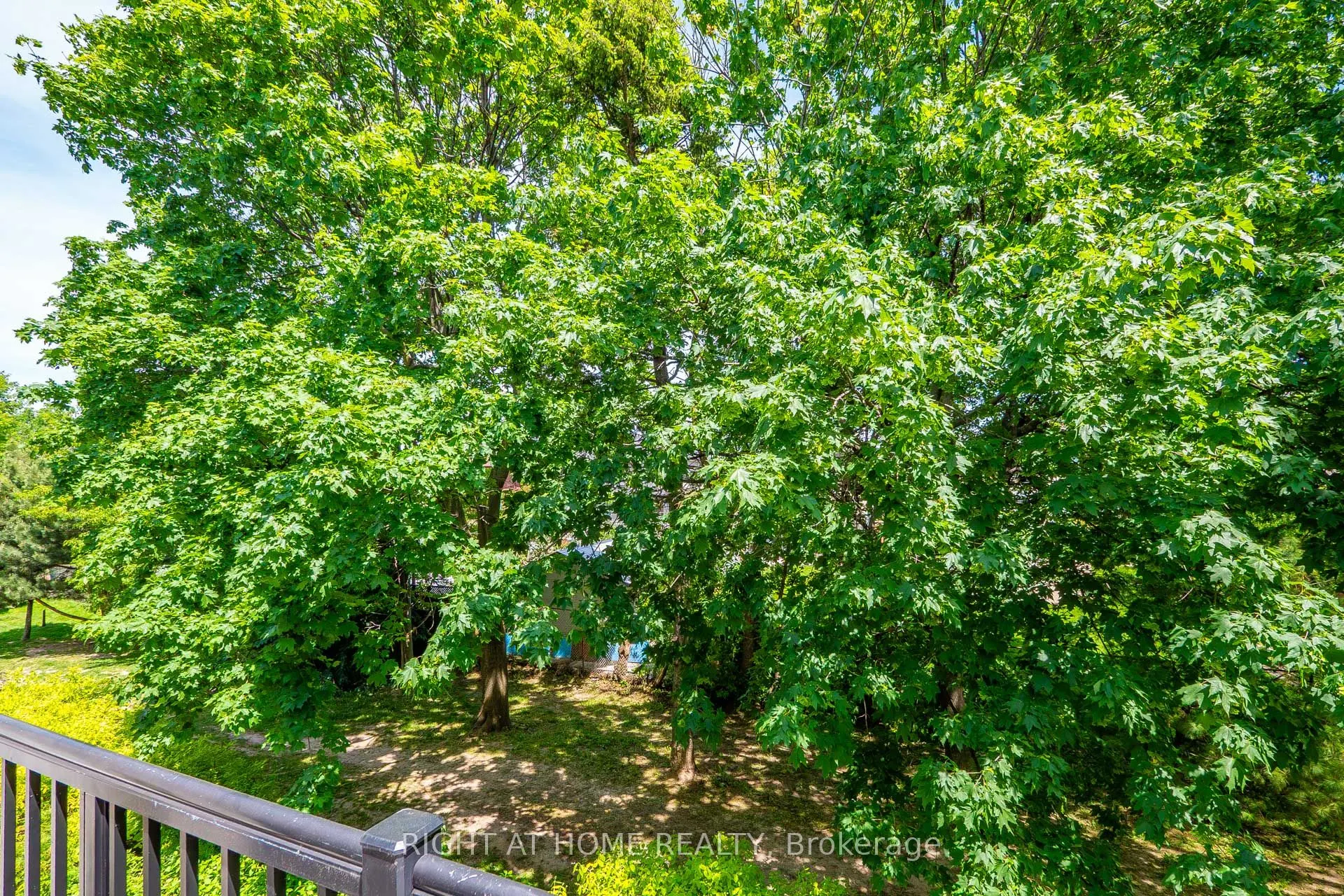 105 George Appleton Way #2151