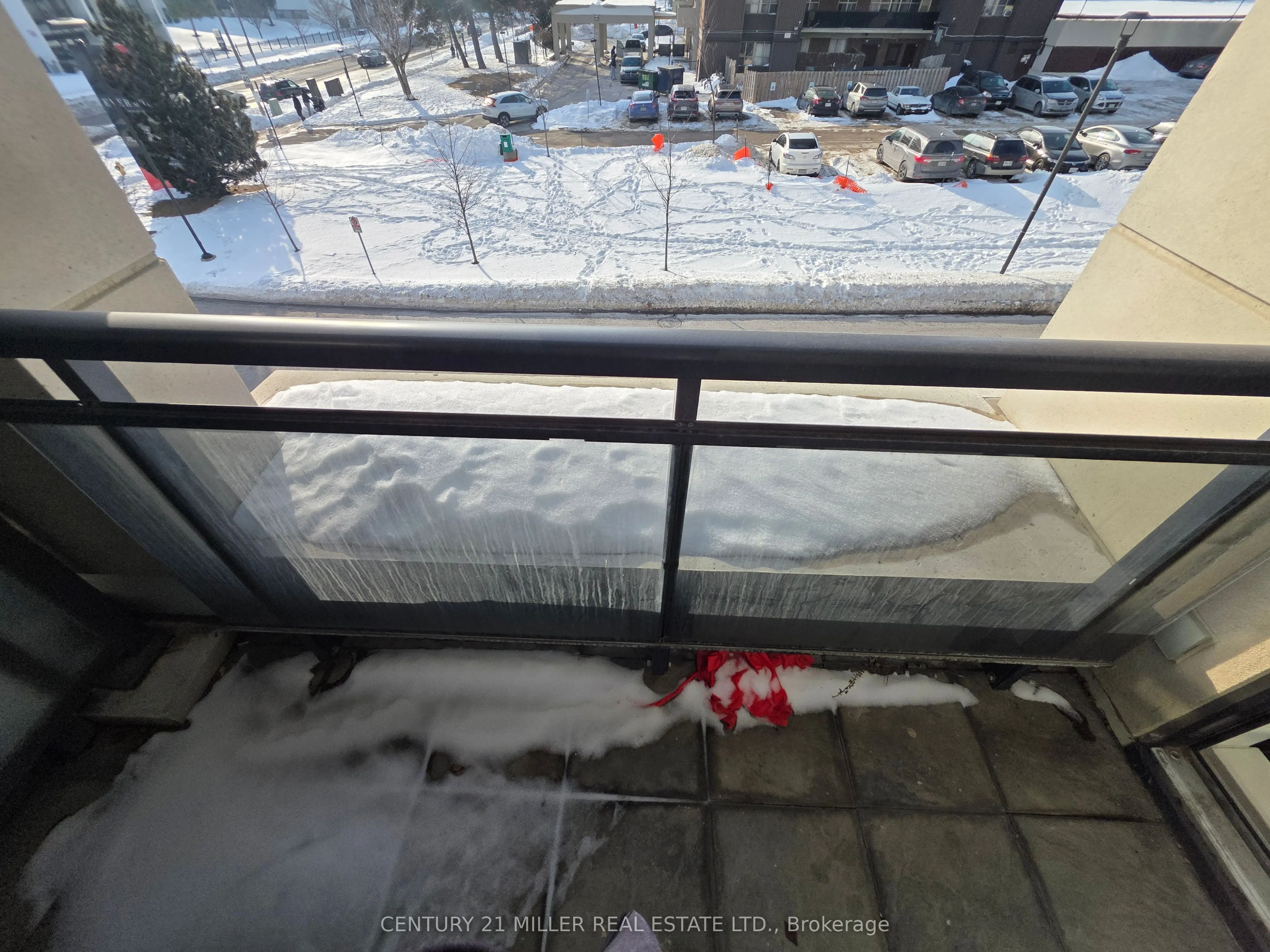 6 Eva Road #111