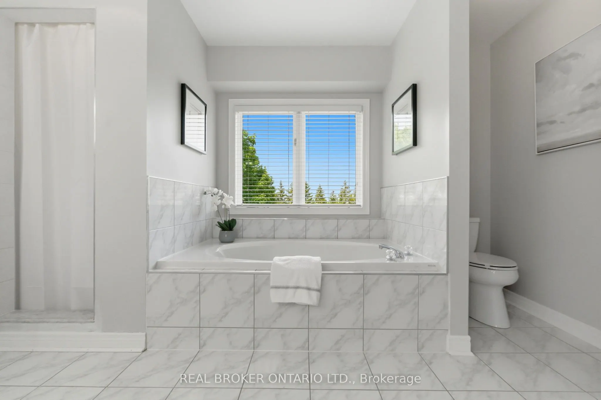 2205 Shaftesbury Court