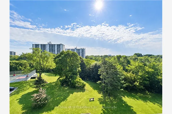 11 Wincott Drive