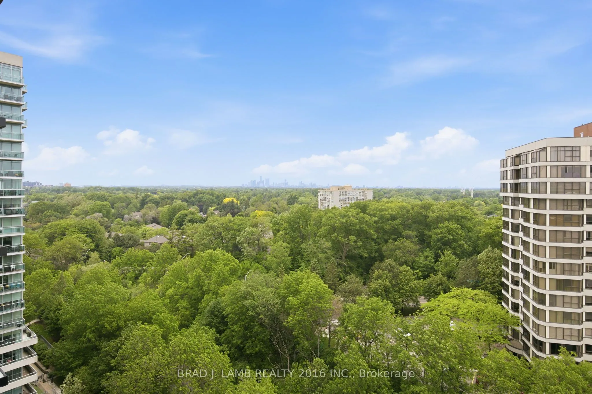 1035 Southdown Road #1204