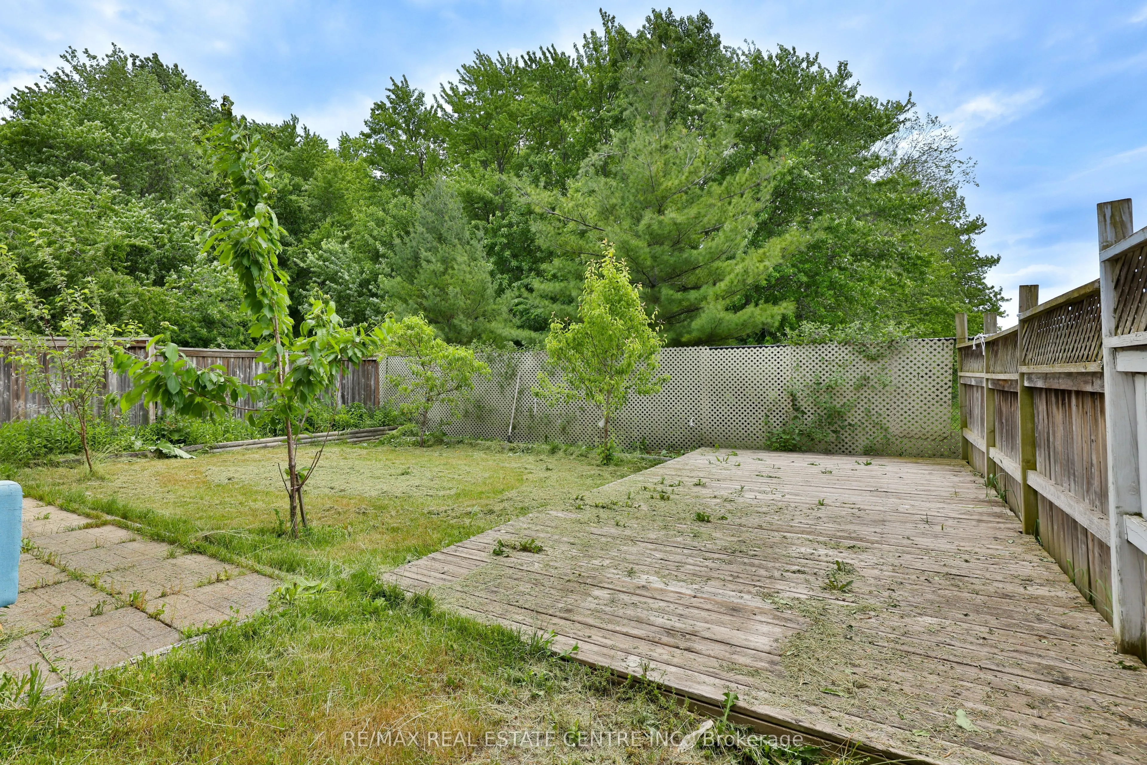 3826 forest bluff Crescent