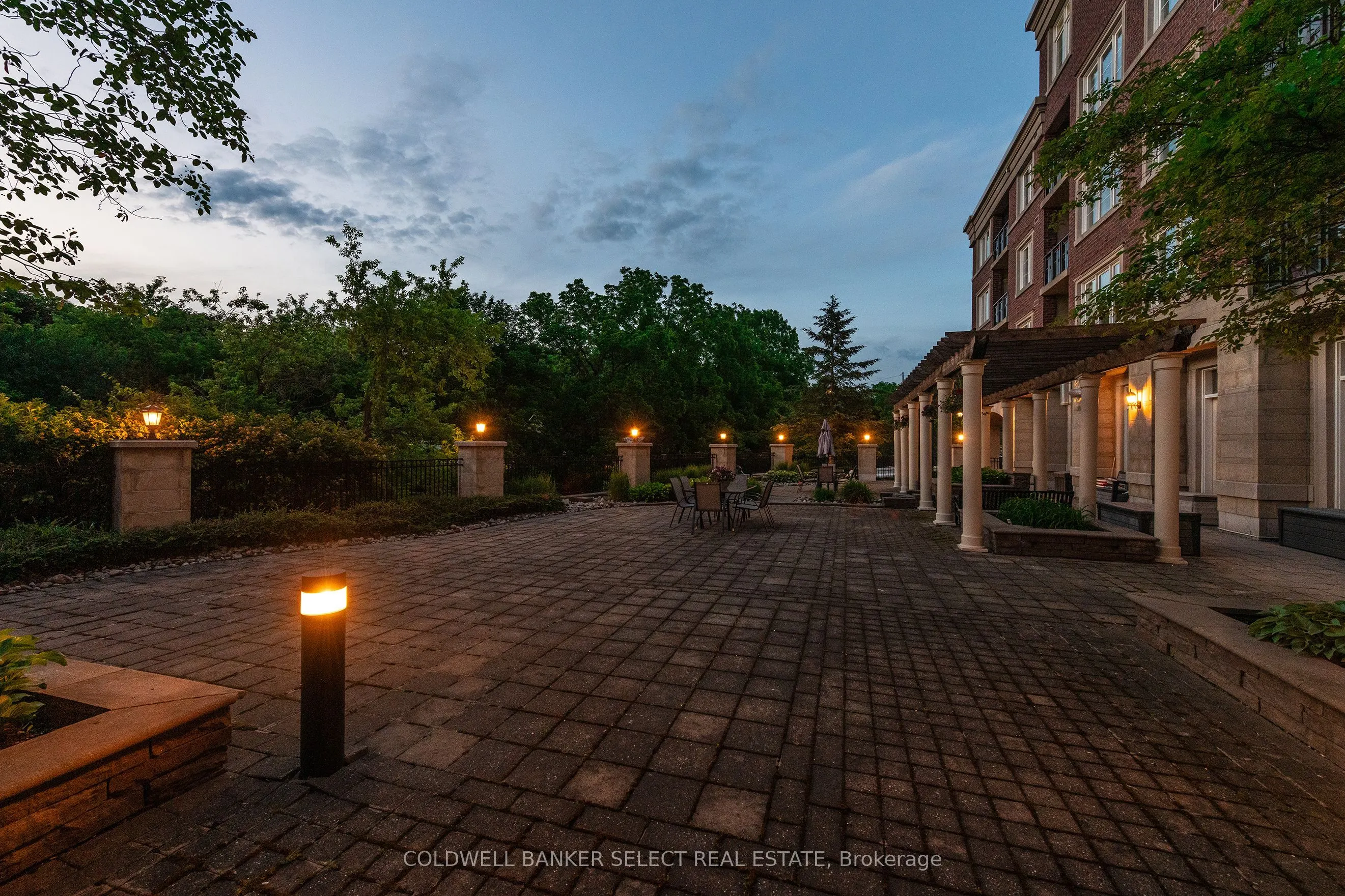 60 Ann Street #503