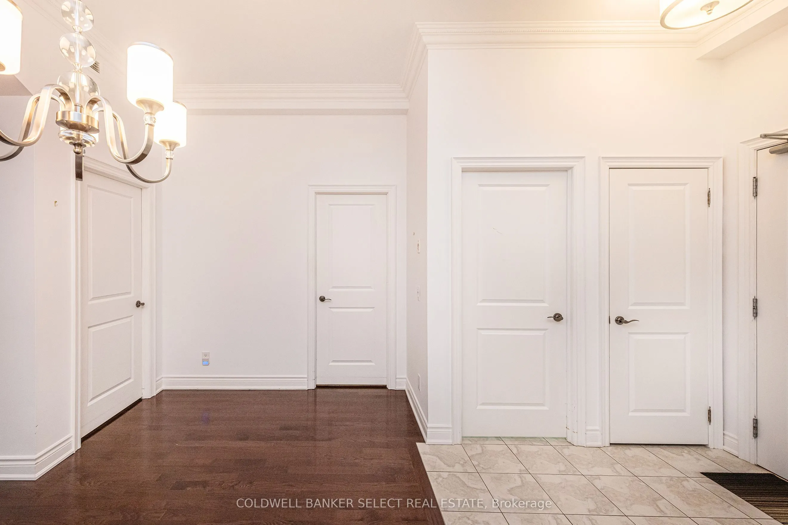 60 Ann Street #503