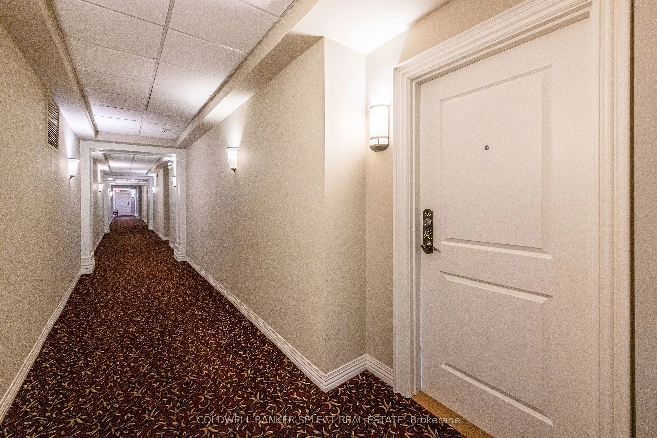 60 Ann Street #503