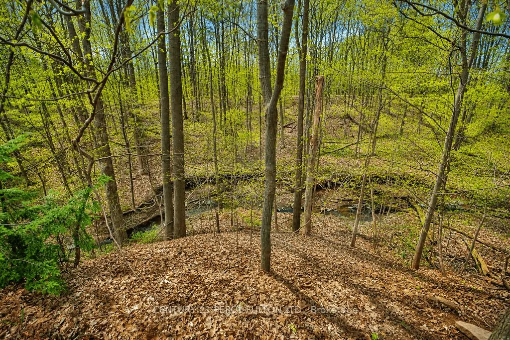 1386 Forest Glade Road