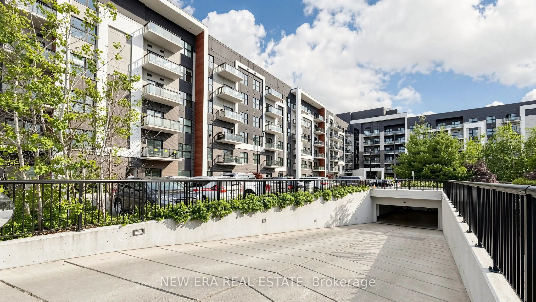 128 Grovewood Common #229