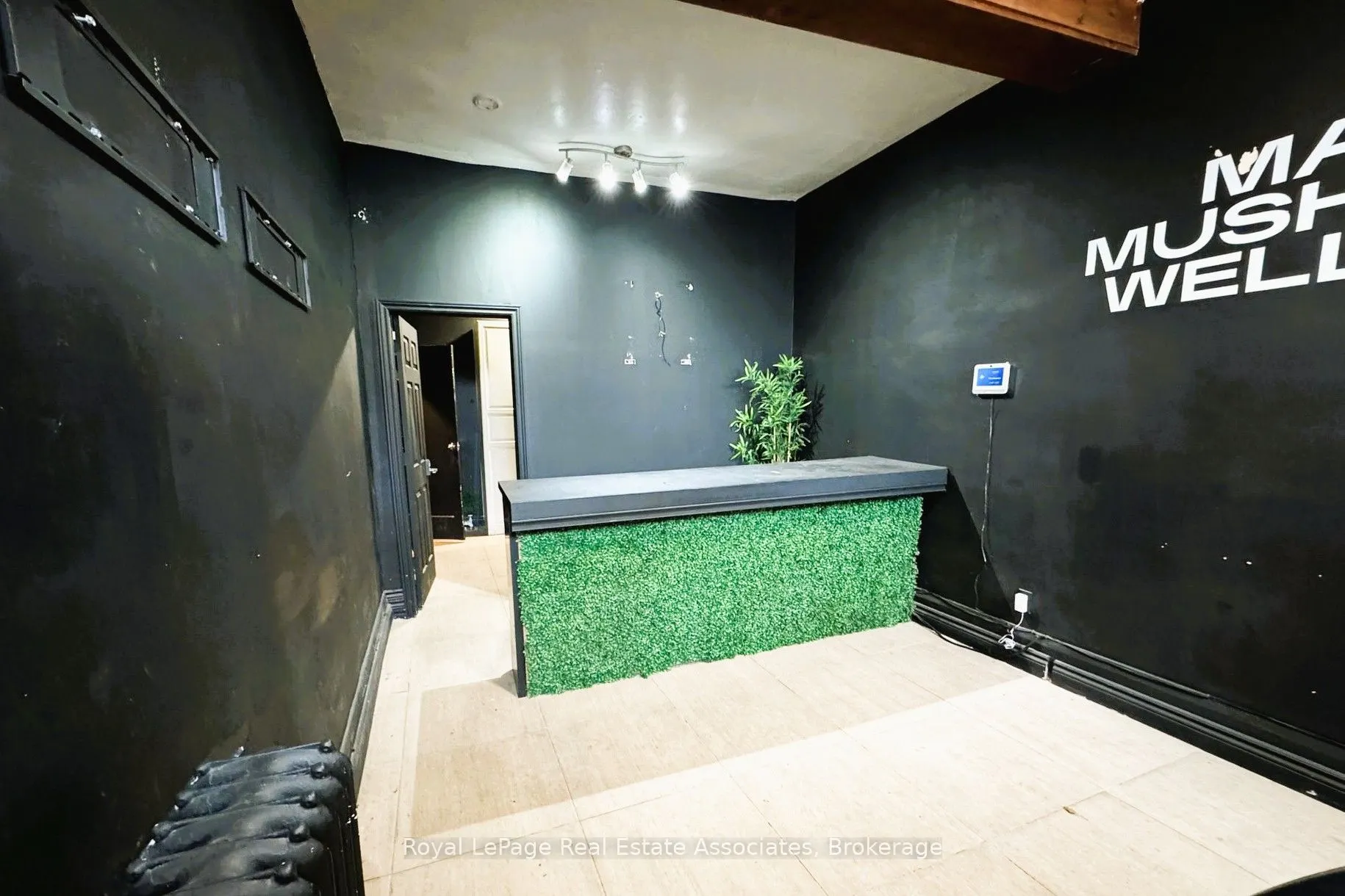 1537 Queen Street W #A