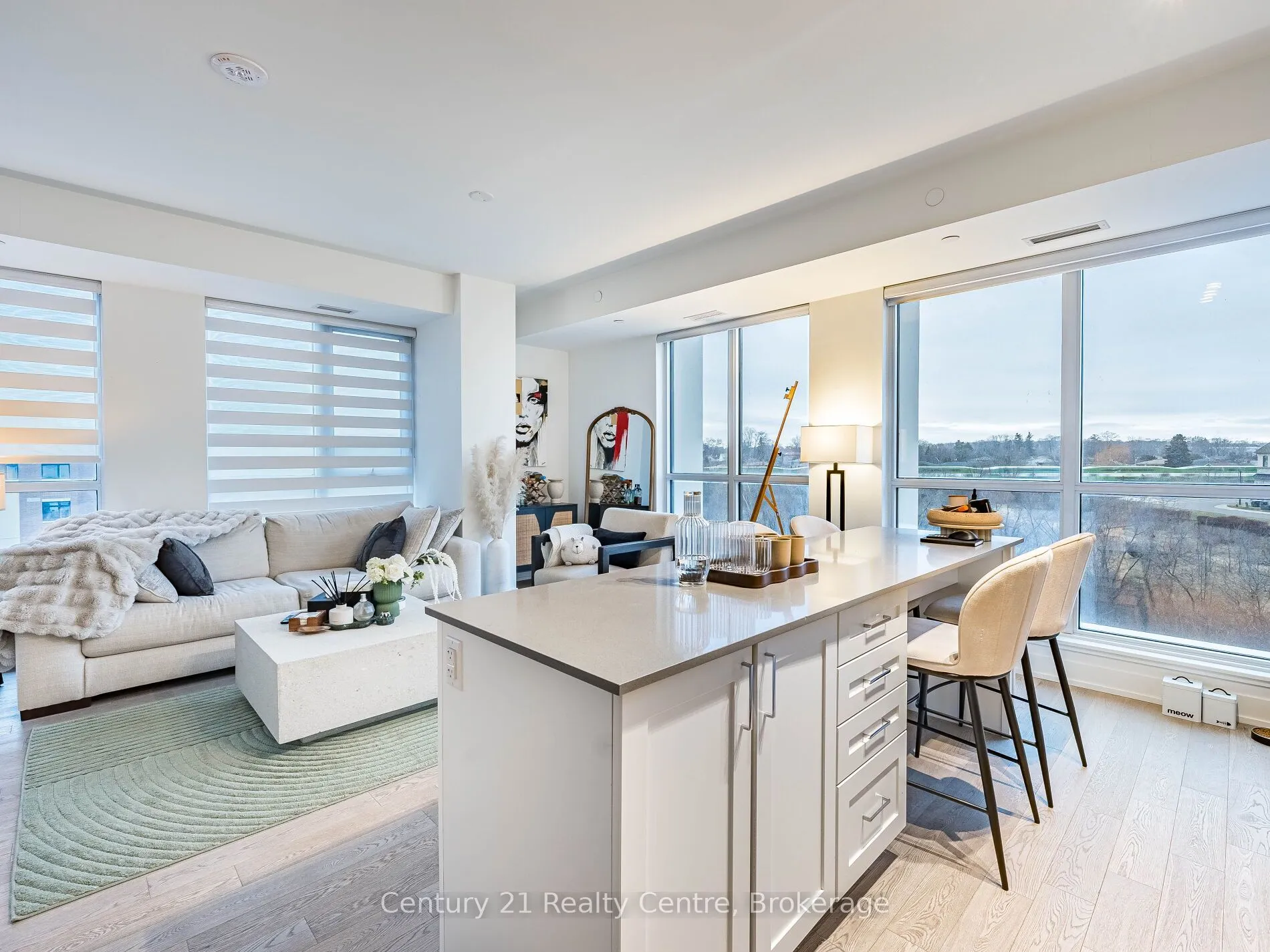 1063 Douglas McCurdy Common #303