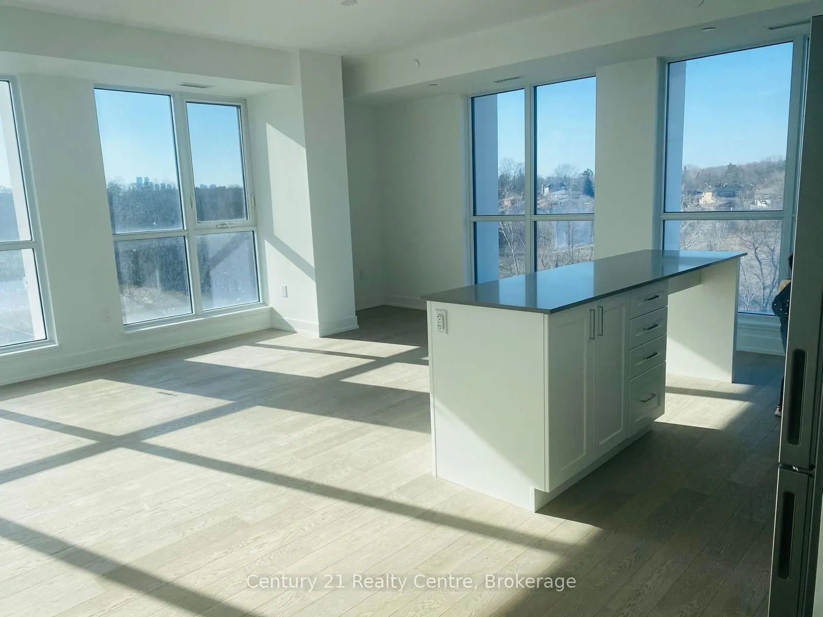 1063 Douglas McCurdy Common #303