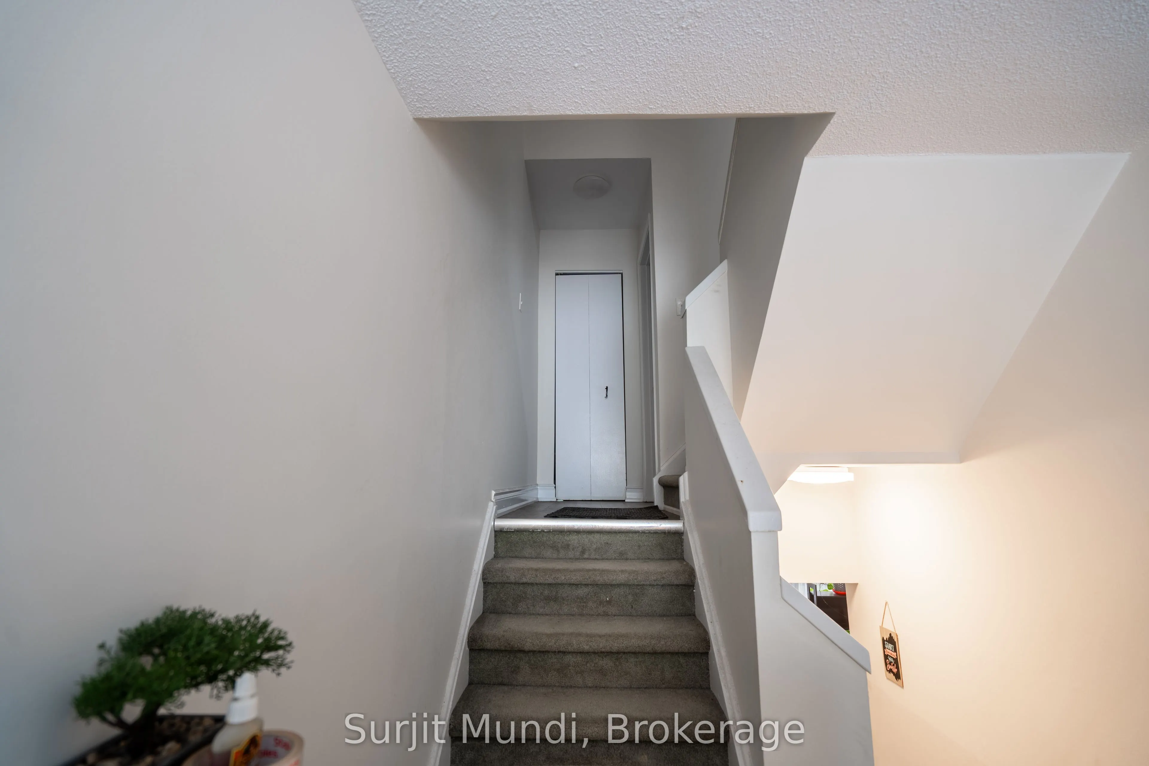 38 Eden Park #62