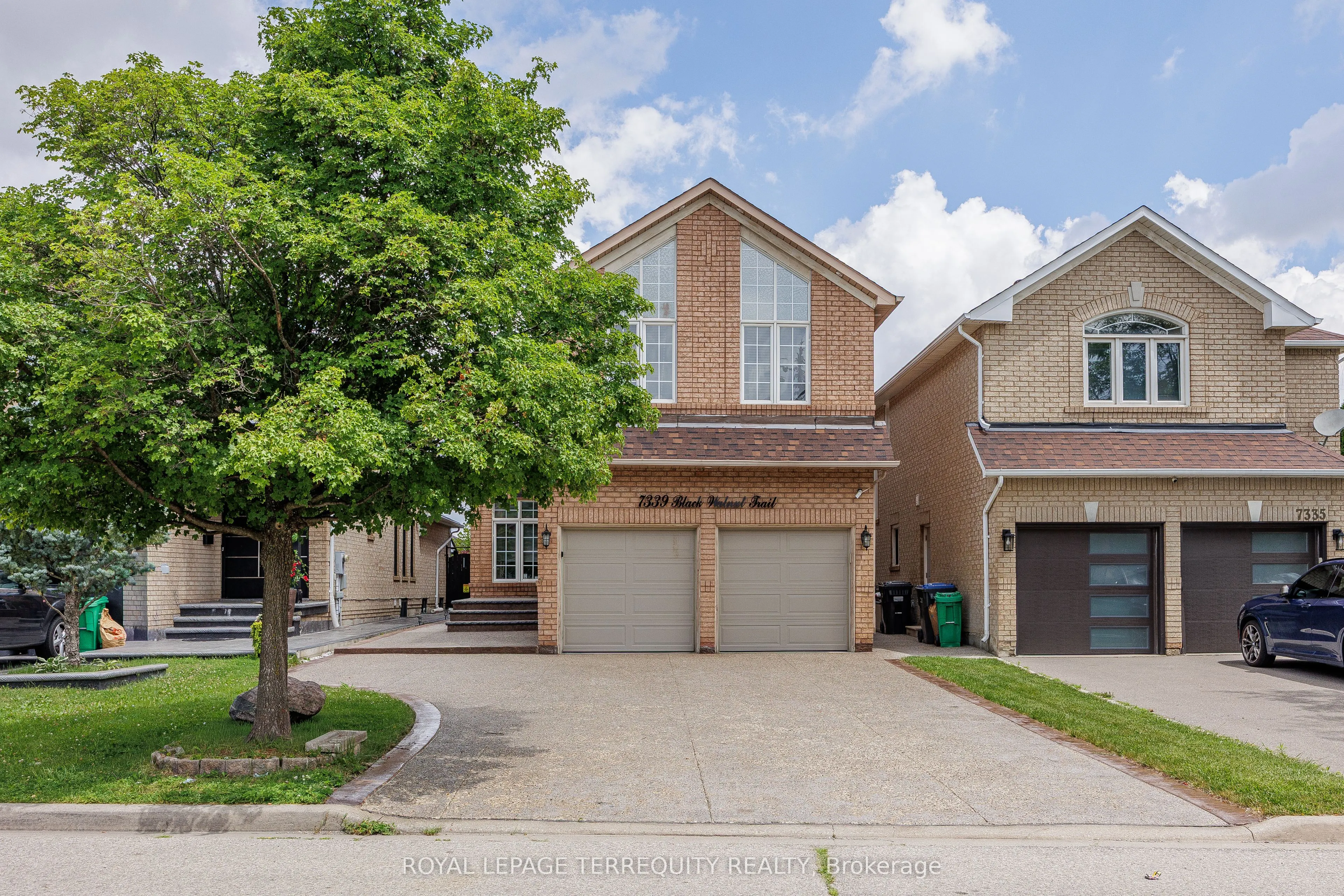 7339 Black Walnut Trail