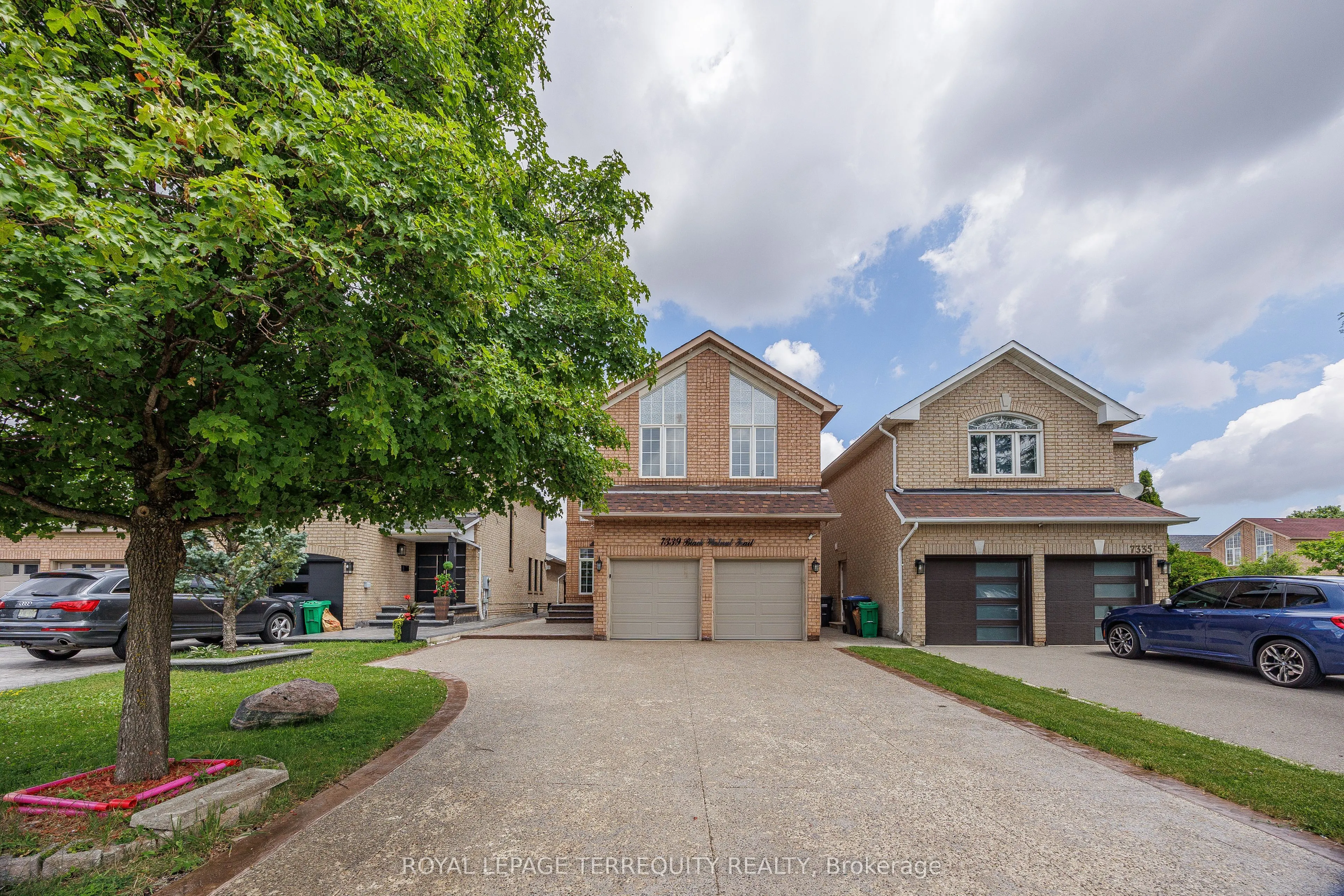7339 Black Walnut Trail
