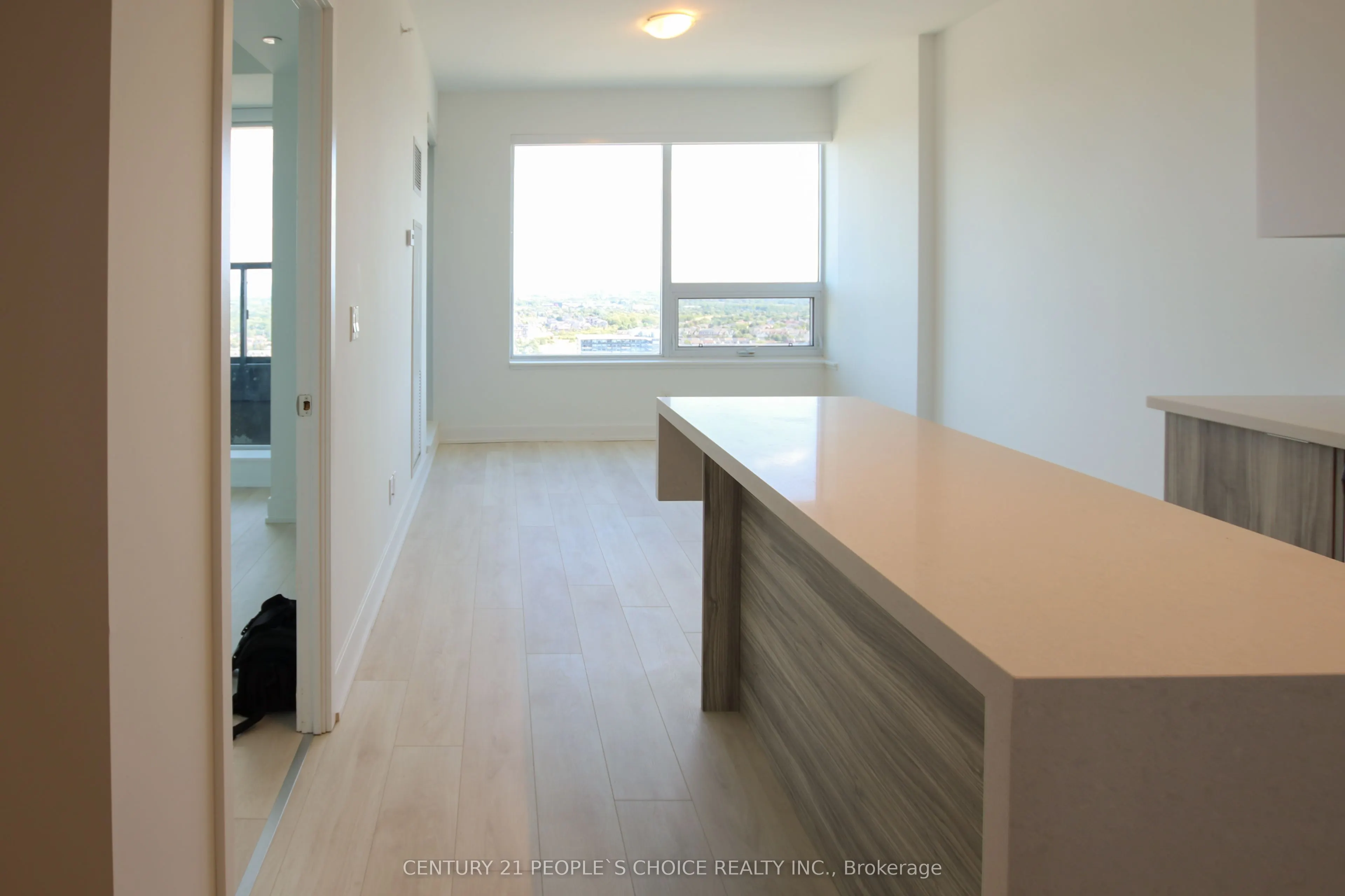 297 Oak Walk Drive #2401
