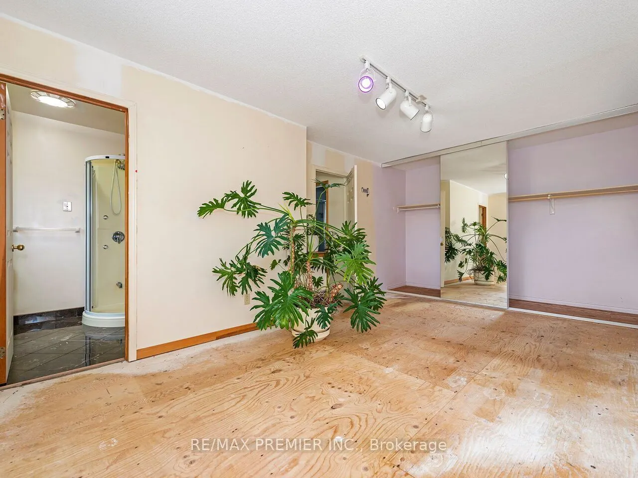 28 Emeline Street