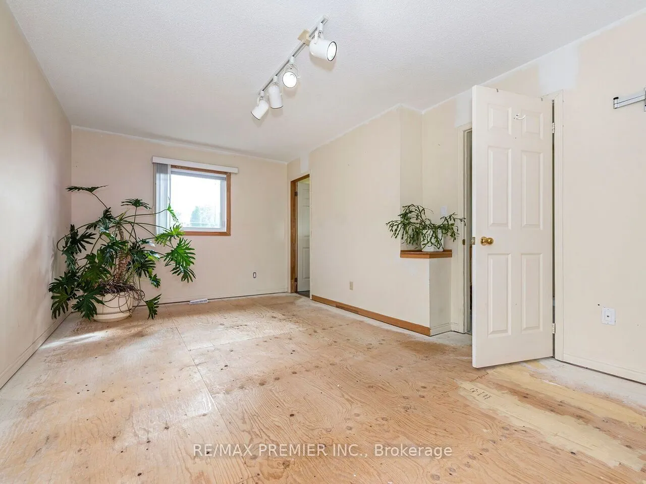 28 Emeline Street