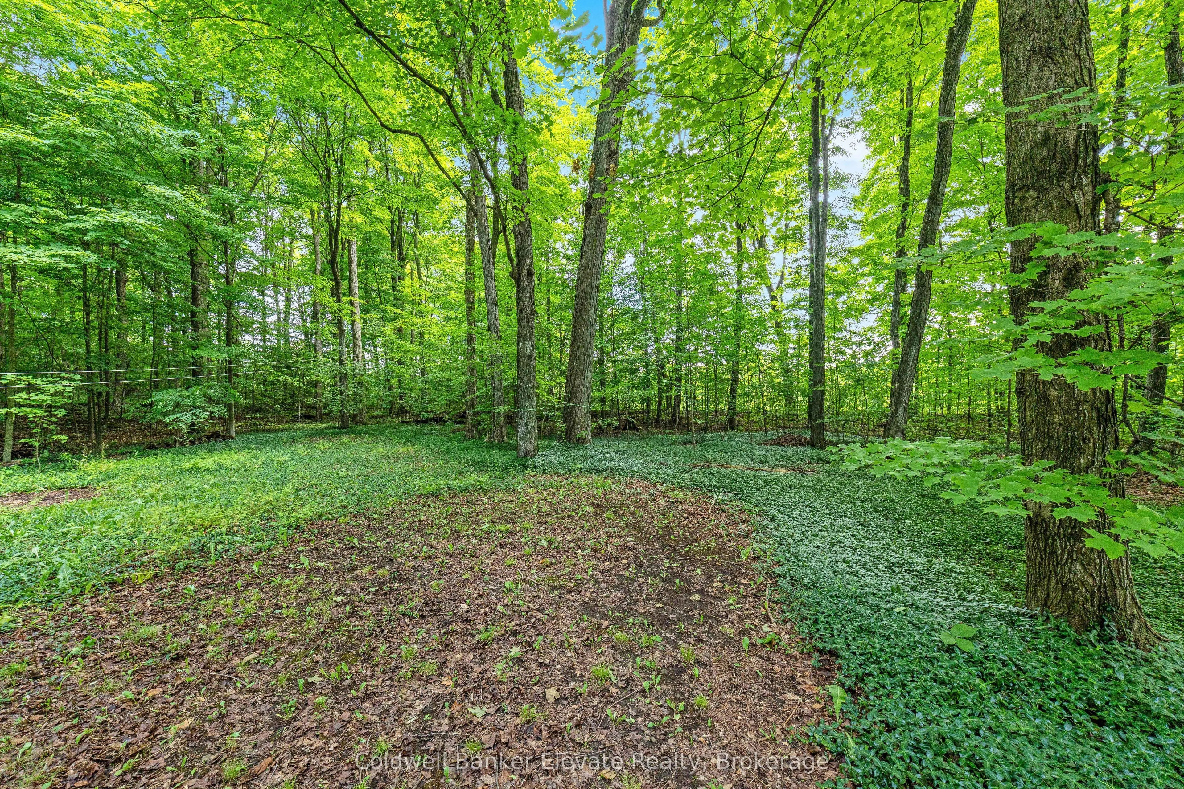 2529 Campbellville Road
